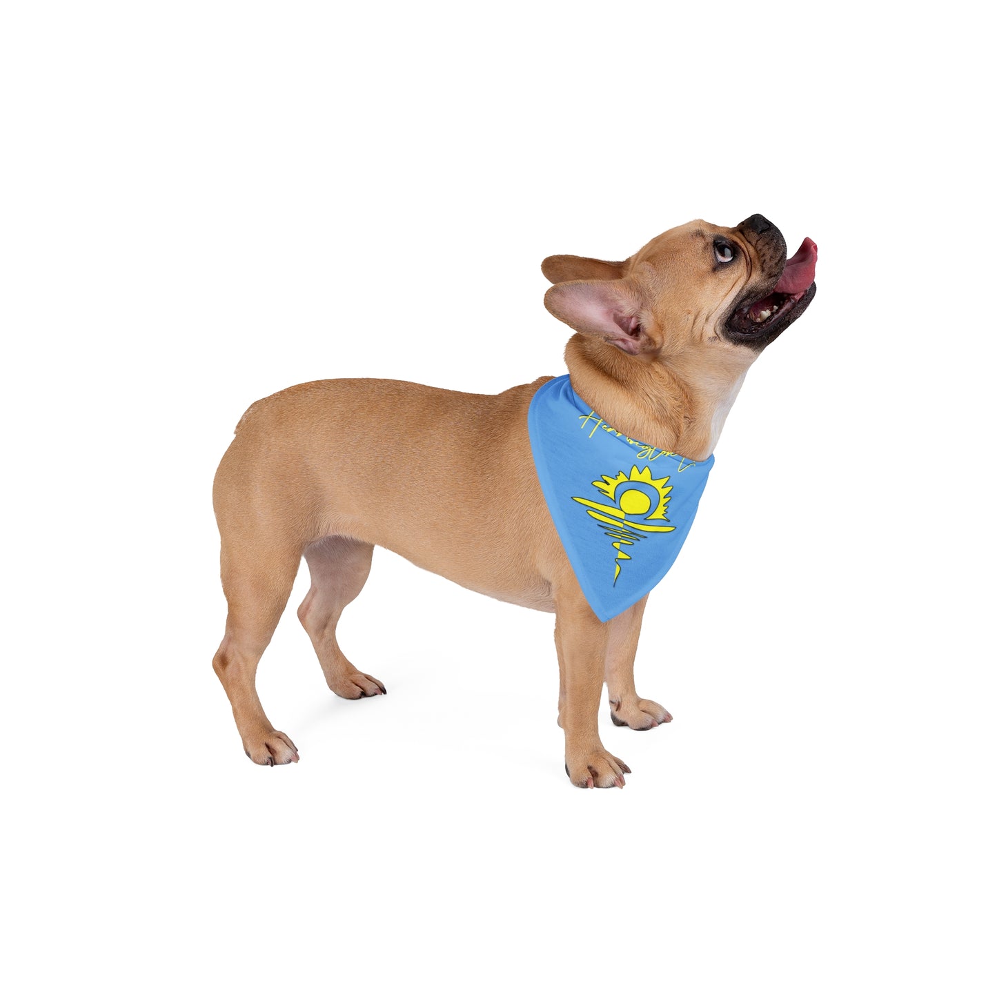 Herrington Lake Sunny Day Pet Bandana