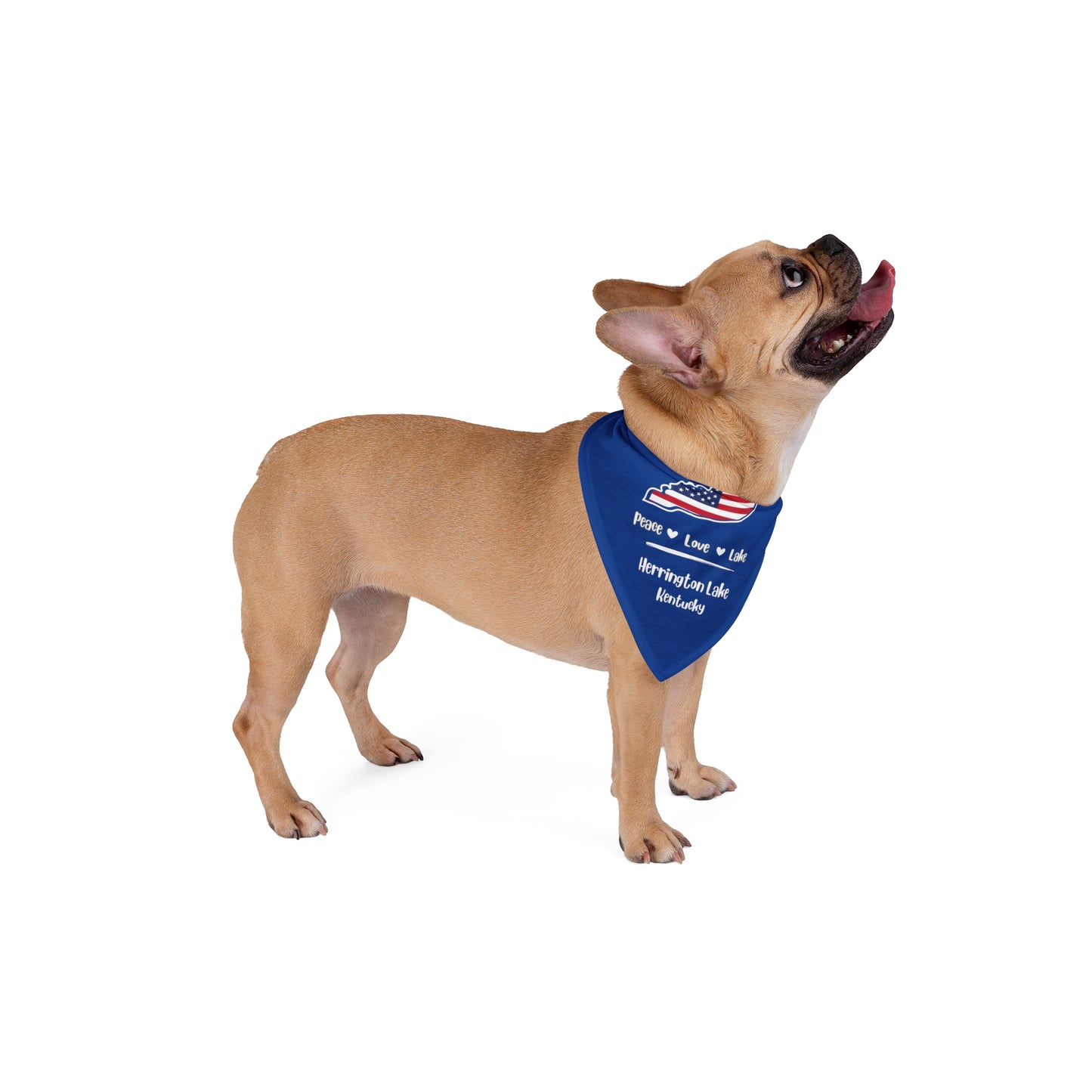 Peace, Love, Lake Pet Bandana, Dark Blue