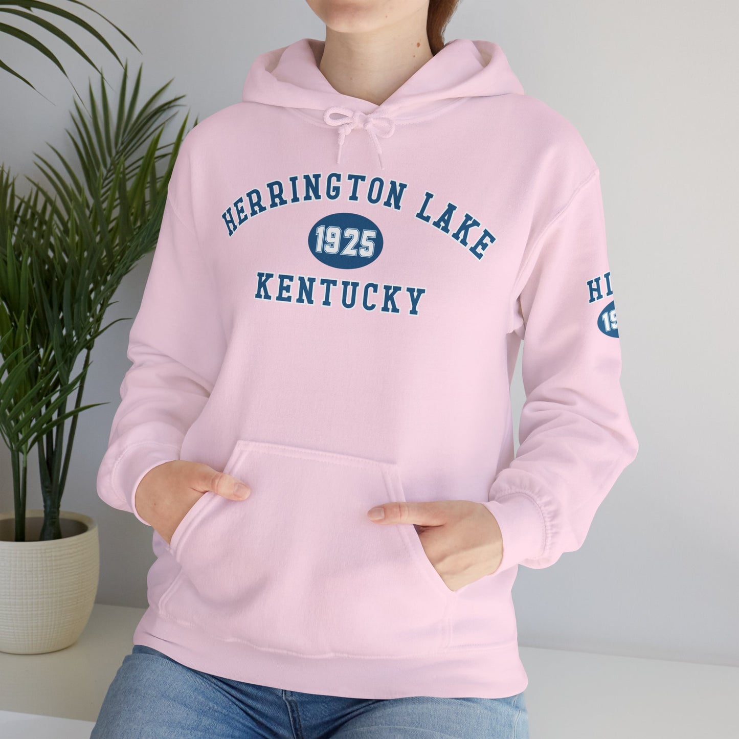 Herrington Lake Collegiate Collection Unisex Heavy Blend™ Hooded Sweatshirt w/ Printed Sleeve Accent