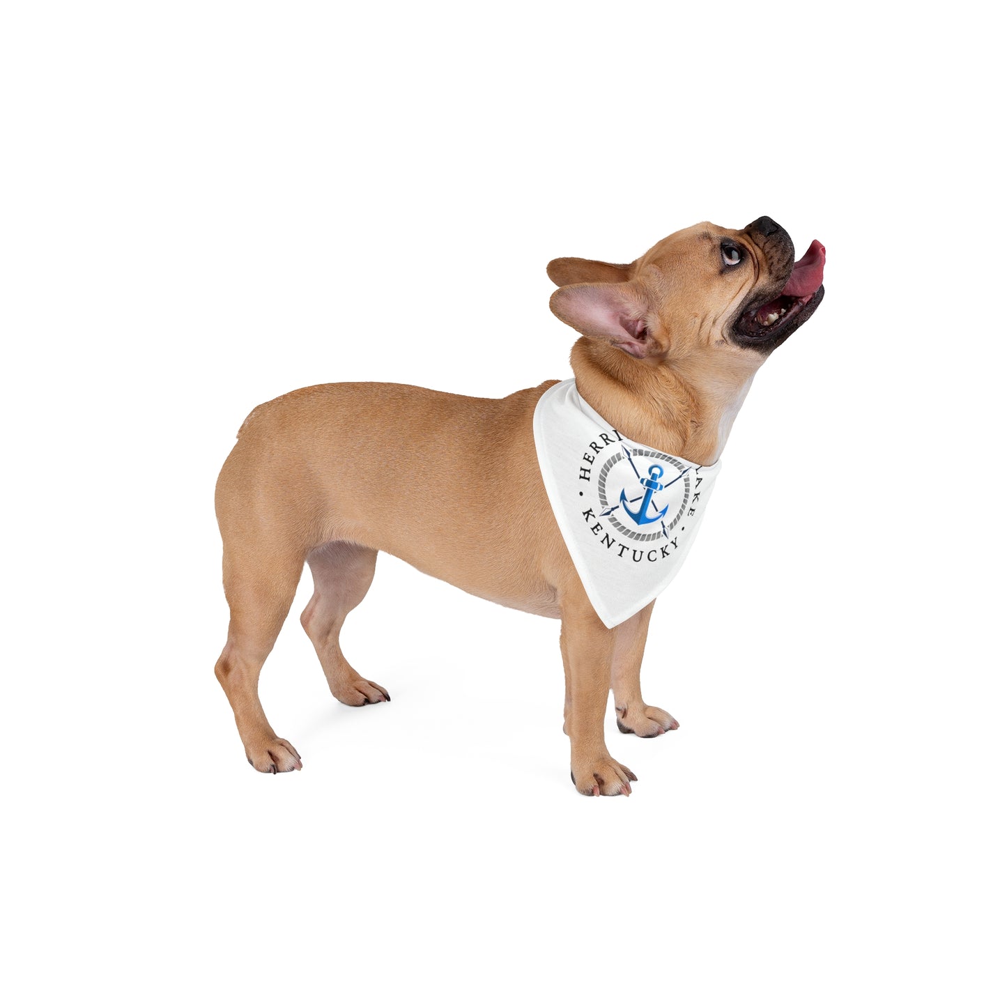 Herrington Lake Nautical Pet Bandana, White