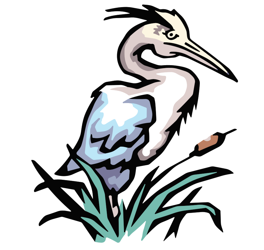 Conservation Collection: You Shop, We Donate