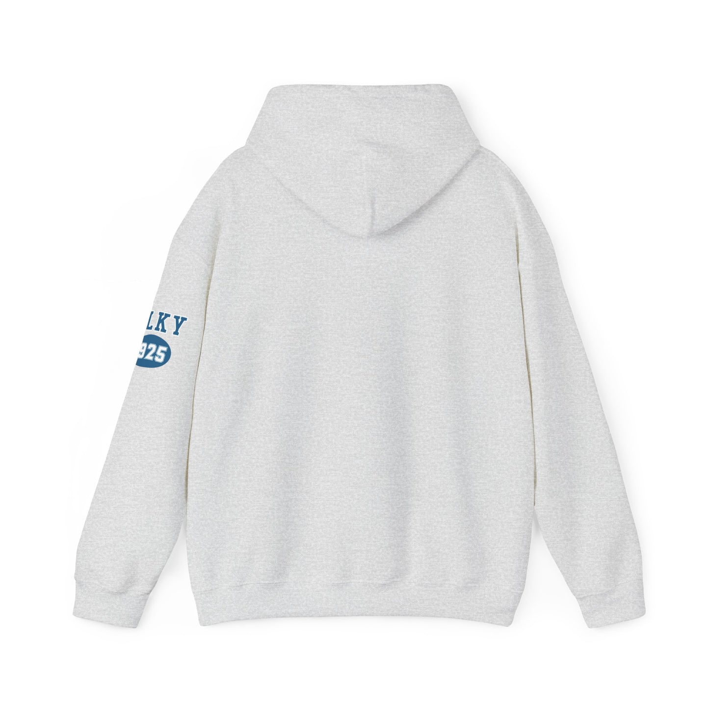 Herrington Lake Collegiate Collection Unisex Heavy Blend™ Hooded Sweatshirt w/ Printed Sleeve Accent