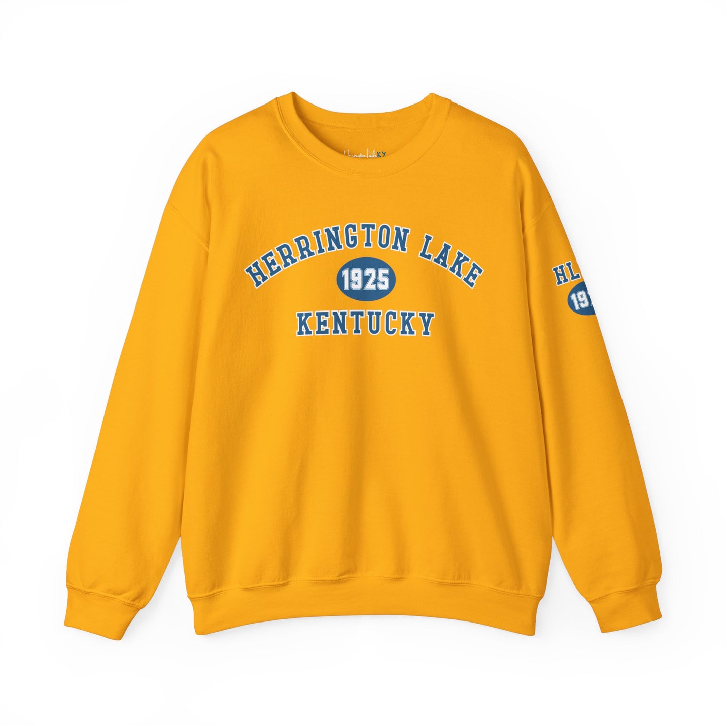 Collegiate Collection Unisex Heavy Blend™ Crewneck Sweatshirt w Sleeve Logo