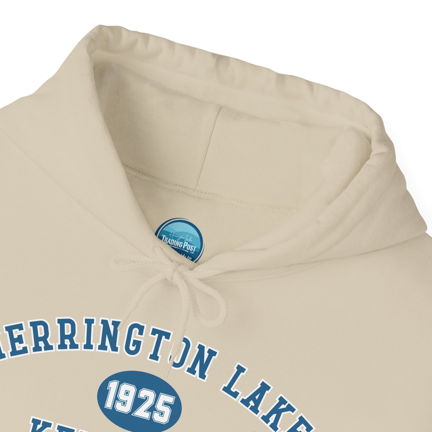 Herrington Lake Collegiate Collection Unisex Heavy Blend™ Hooded Sweatshirt w/ Printed Sleeve Accent