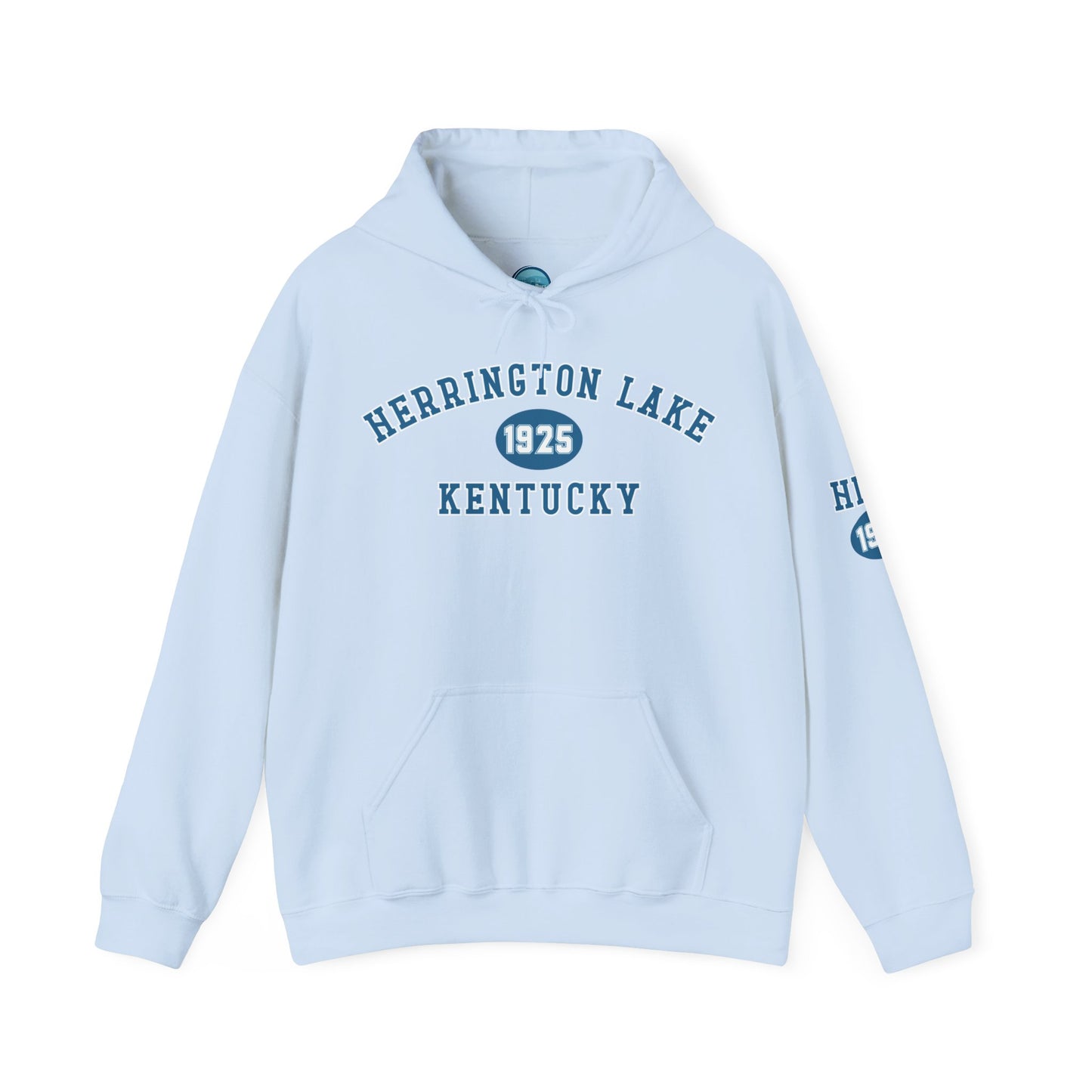 Herrington Lake Collegiate Collection Unisex Heavy Blend™ Hooded Sweatshirt w/ Printed Sleeve Accent