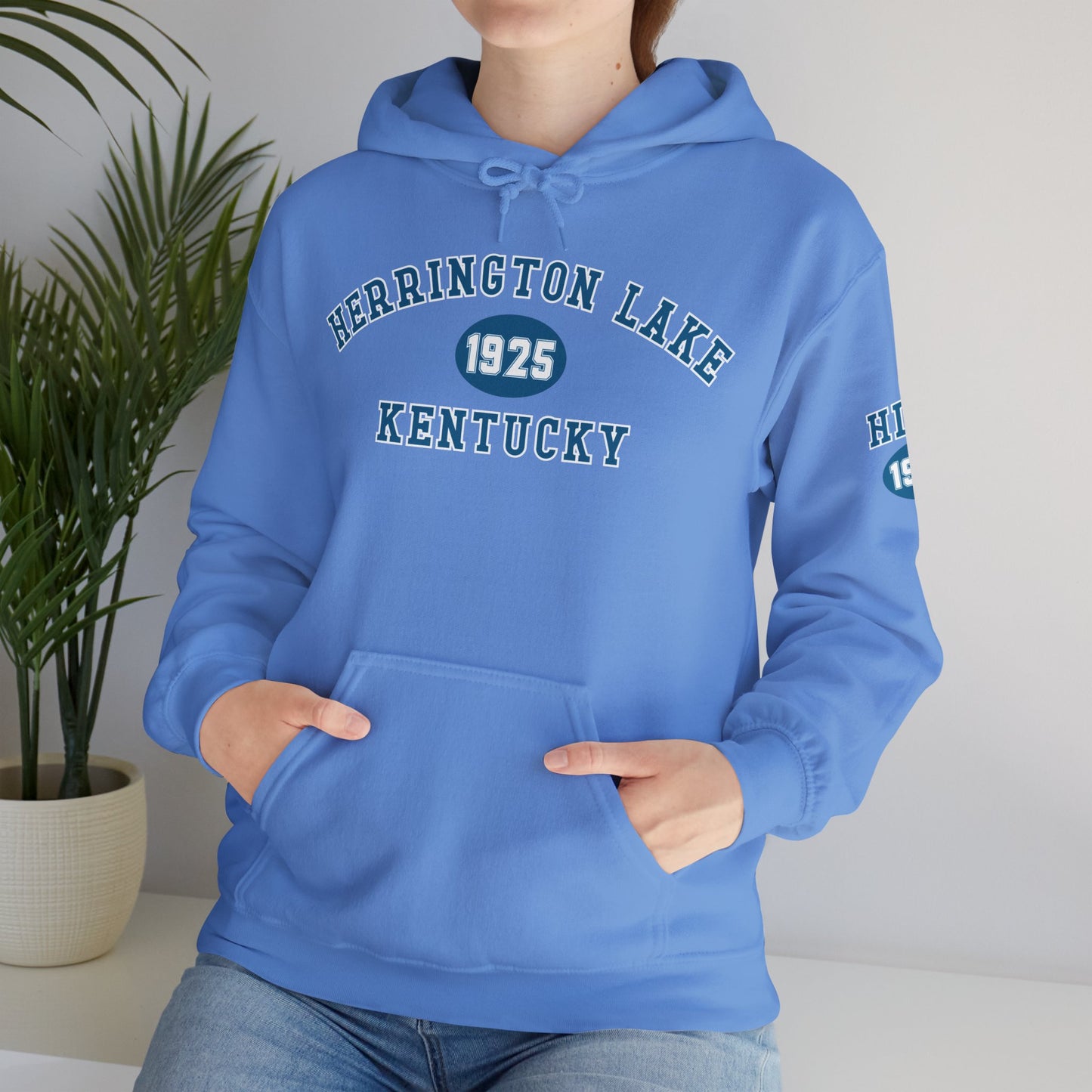 Herrington Lake Collegiate Collection Unisex Heavy Blend™ Hooded Sweatshirt w/ Printed Sleeve Accent