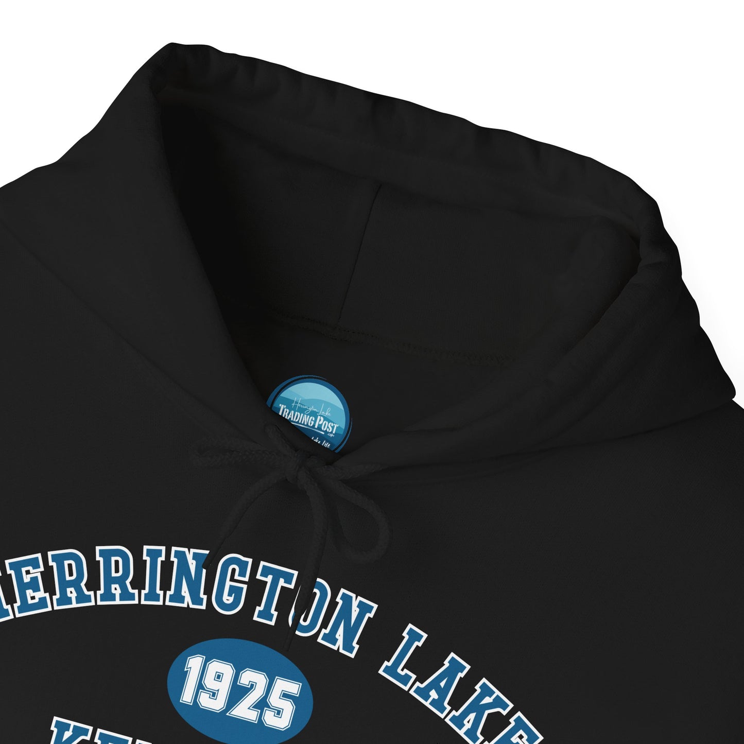 Herrington Lake Collegiate Collection Unisex Heavy Blend™ Hooded Sweatshirt w/ Printed Sleeve Accent