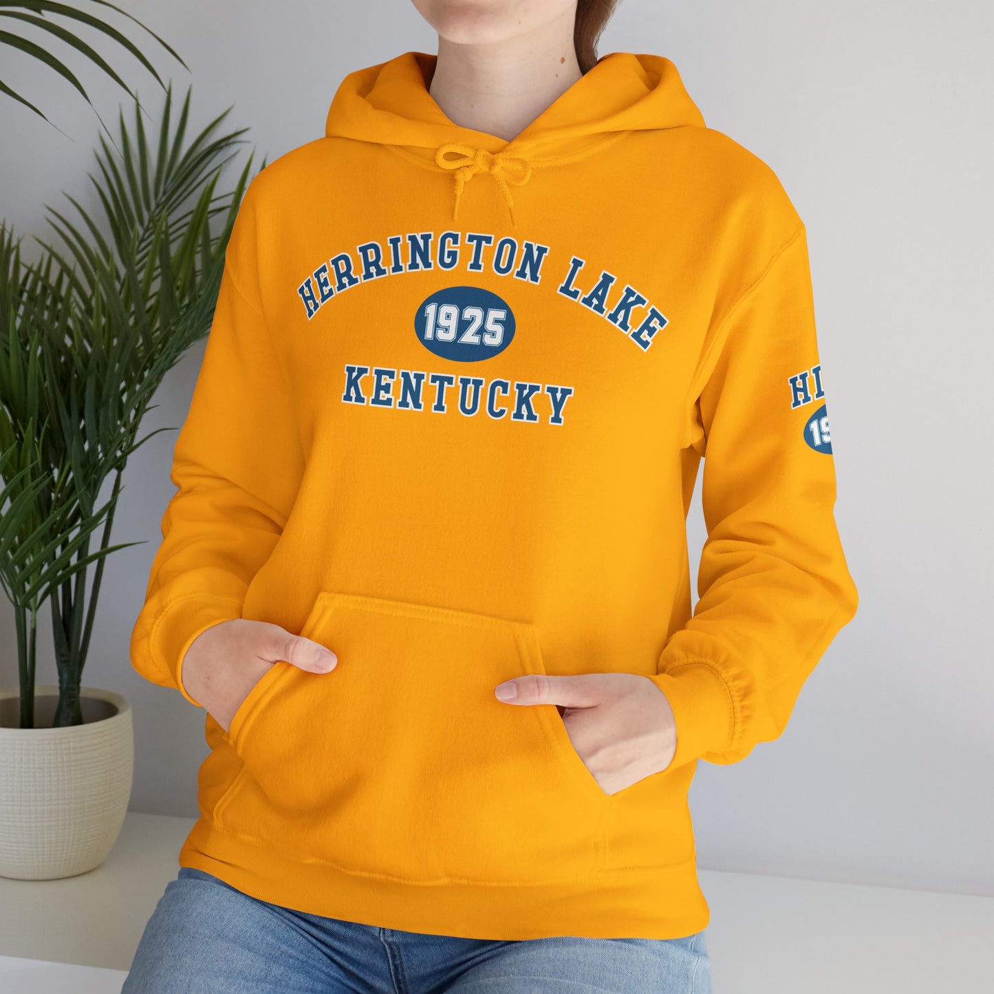 Herrington Lake Collegiate Collection Unisex Heavy Blend™ Hooded Sweatshirt w/ Printed Sleeve Accent