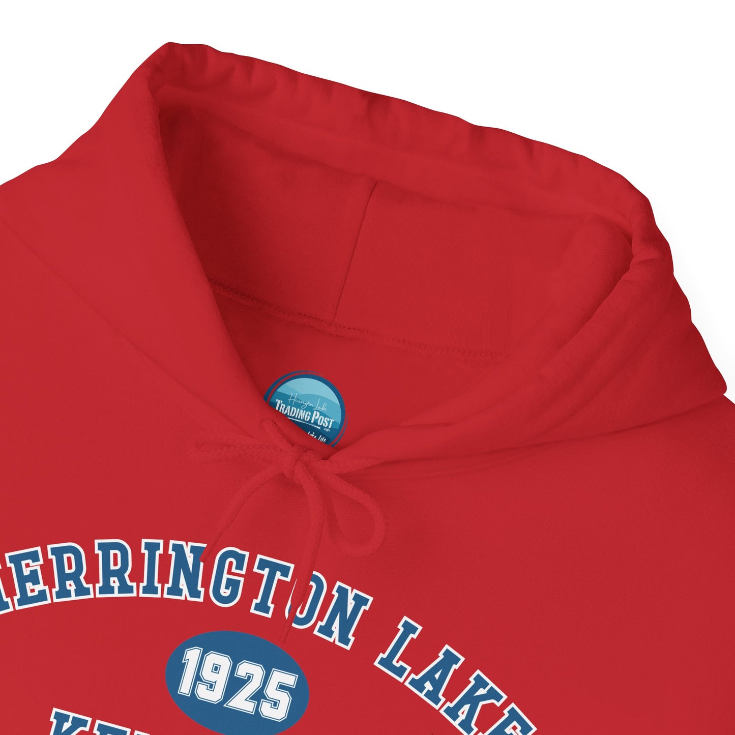 Herrington Lake Collegiate Collection Unisex Heavy Blend™ Hooded Sweatshirt w/ Printed Sleeve Accent