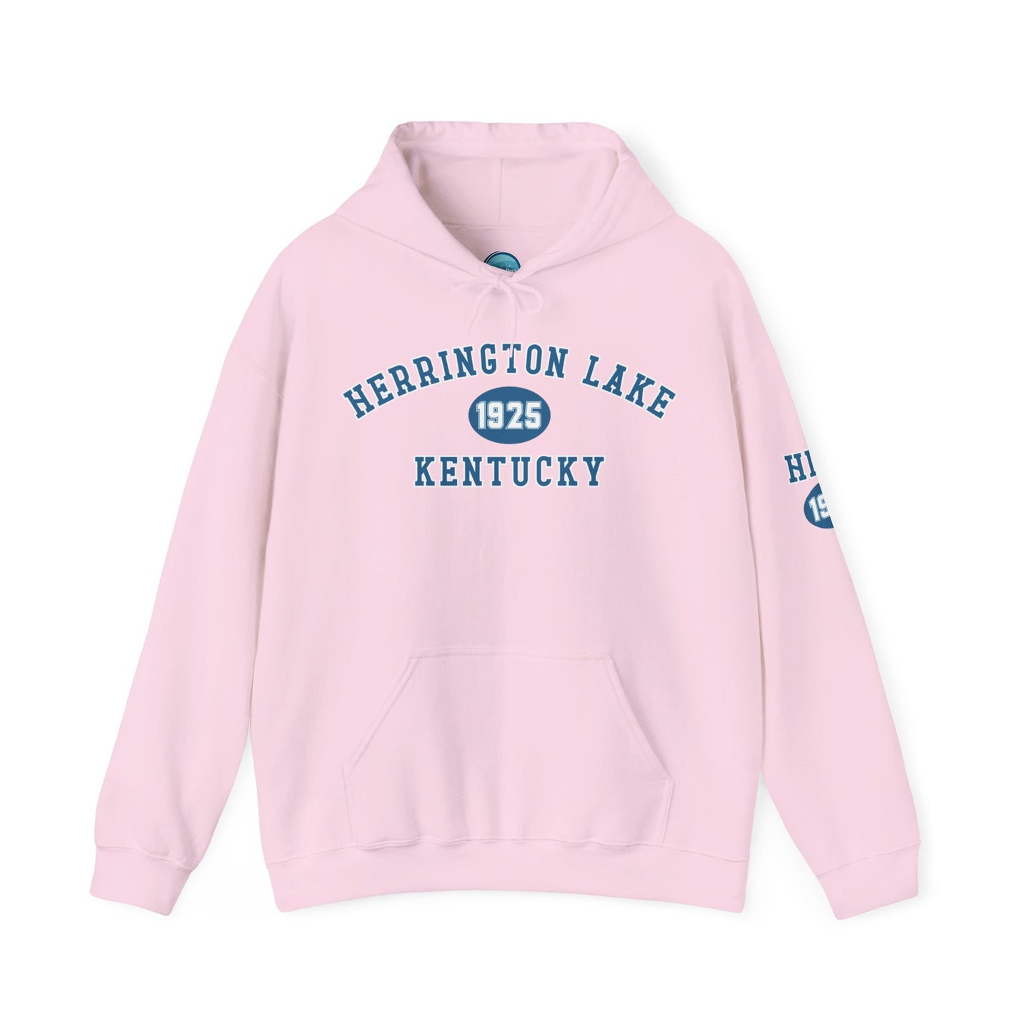 Herrington Lake Collegiate Collection Unisex Heavy Blend™ Hooded Sweatshirt w/ Printed Sleeve Accent