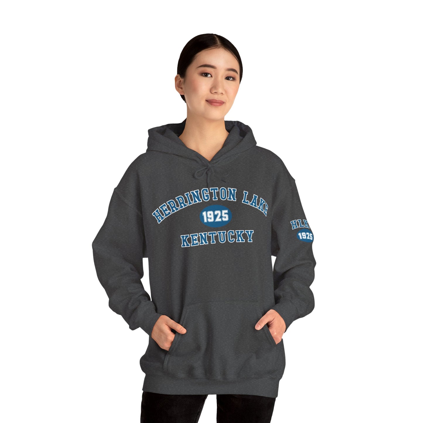 Herrington Lake Collegiate Collection Unisex Heavy Blend™ Hooded Sweatshirt w/ Printed Sleeve Accent