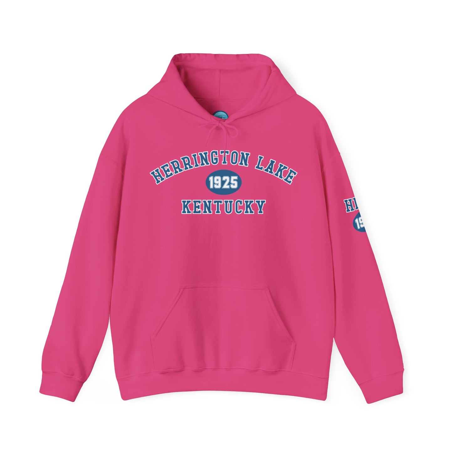 Herrington Lake Collegiate Collection Unisex Heavy Blend™ Hooded Sweatshirt w/ Printed Sleeve Accent