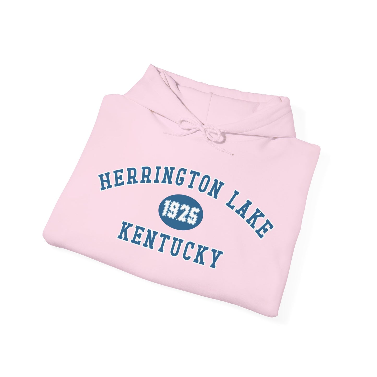 Herrington Lake Collegiate Collection Unisex Heavy Blend™ Hooded Sweatshirt w/ Printed Sleeve Accent