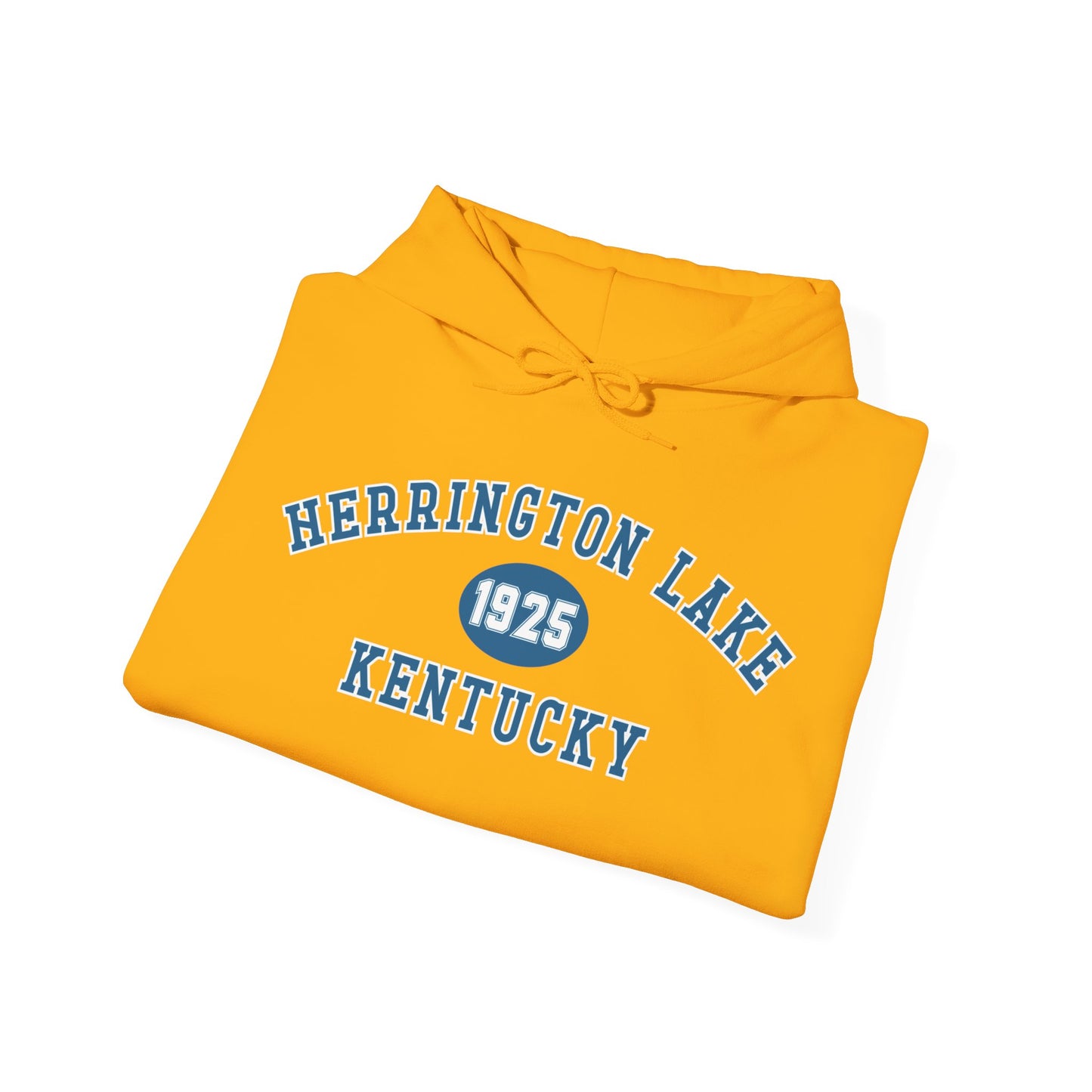 Herrington Lake Collegiate Collection Unisex Heavy Blend™ Hooded Sweatshirt w/ Printed Sleeve Accent