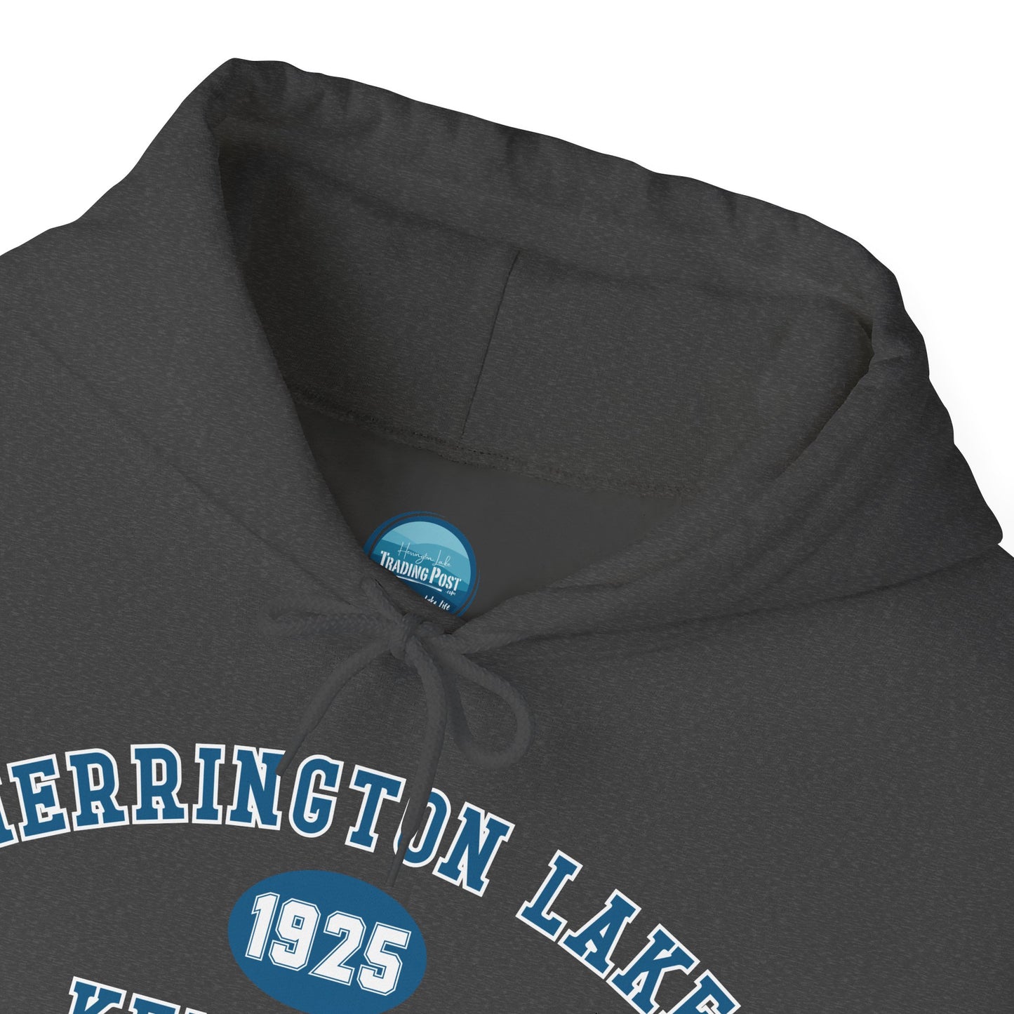 Herrington Lake Collegiate Collection Unisex Heavy Blend™ Hooded Sweatshirt w/ Printed Sleeve Accent