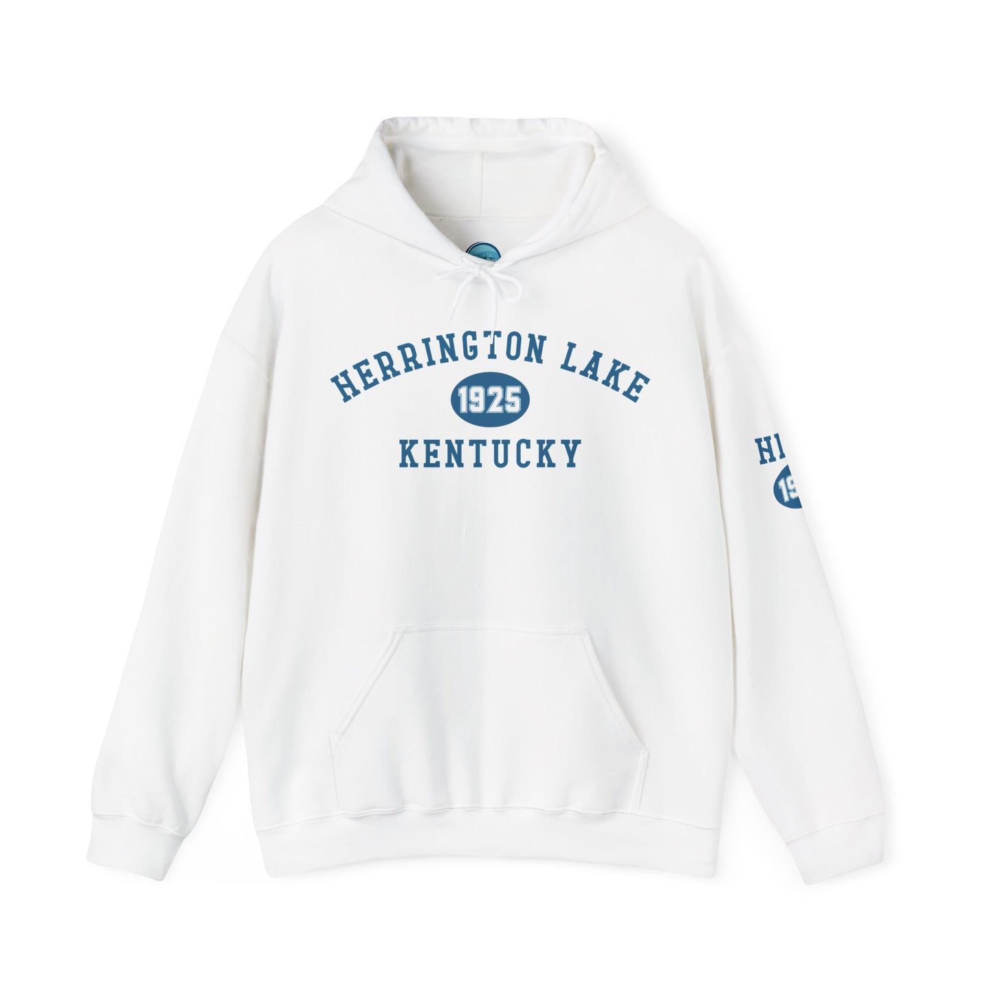 Herrington Lake Collegiate Collection Unisex Heavy Blend™ Hooded Sweatshirt w/ Printed Sleeve Accent