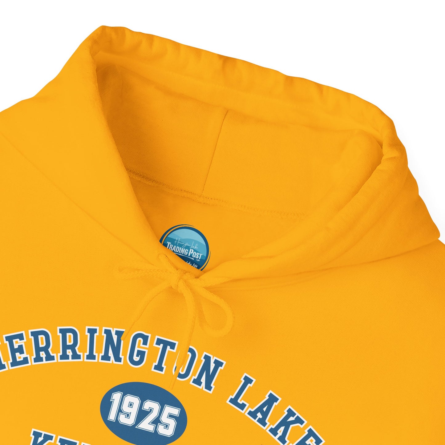 Herrington Lake Collegiate Collection Unisex Heavy Blend™ Hooded Sweatshirt w/ Printed Sleeve Accent