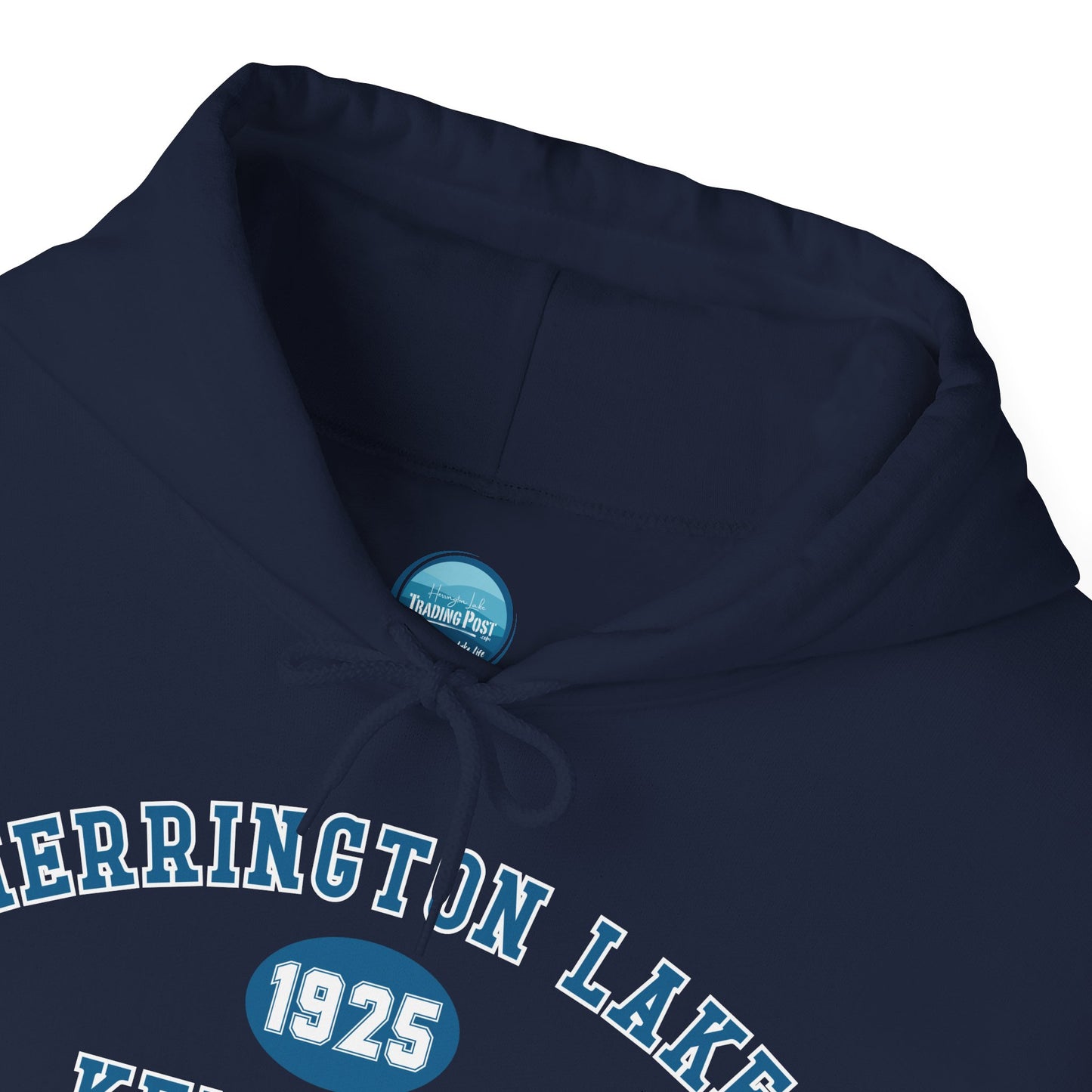 Herrington Lake Collegiate Collection Unisex Heavy Blend™ Hooded Sweatshirt w/ Printed Sleeve Accent