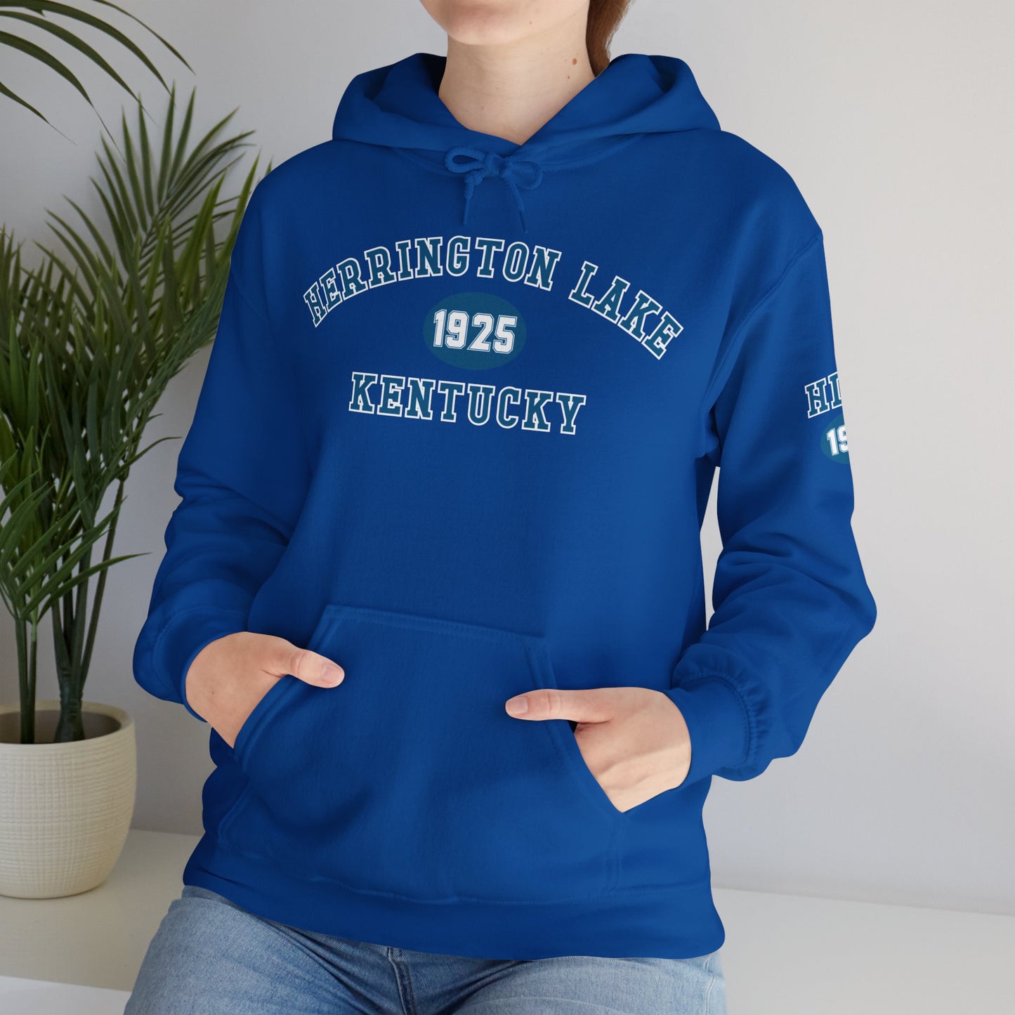 Herrington Lake Collegiate Collection Unisex Heavy Blend™ Hooded Sweatshirt w/ Printed Sleeve Accent