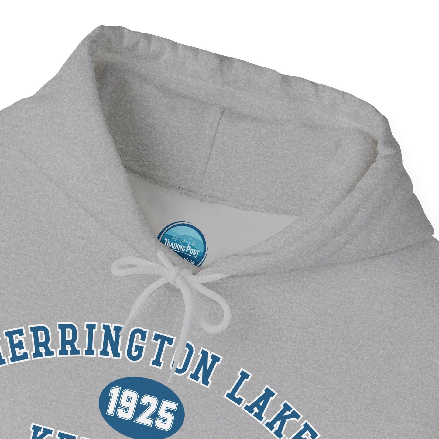 Herrington Lake Collegiate Collection Unisex Heavy Blend™ Hooded Sweatshirt w/ Printed Sleeve Accent