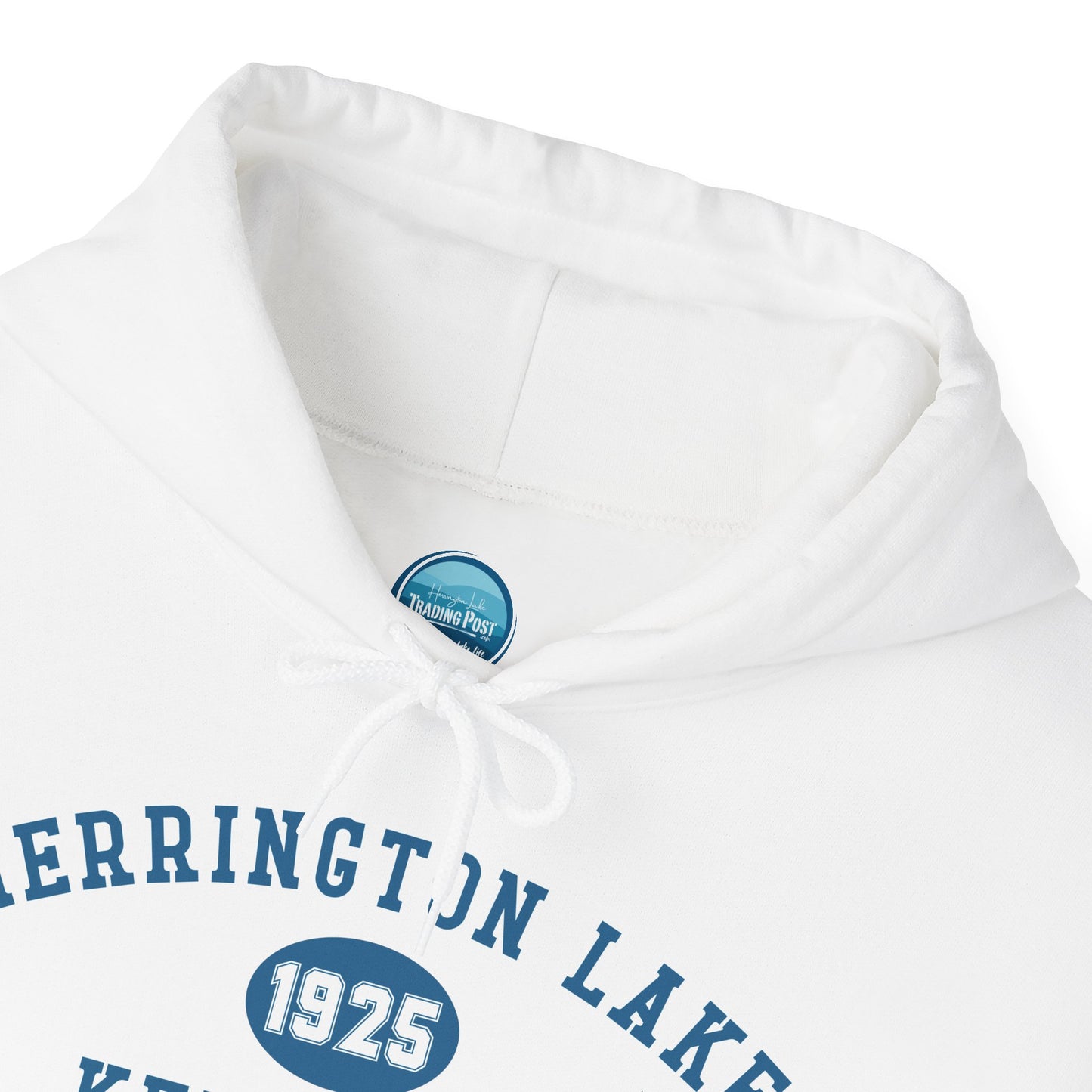 Herrington Lake Collegiate Collection Unisex Heavy Blend™ Hooded Sweatshirt w/ Printed Sleeve Accent