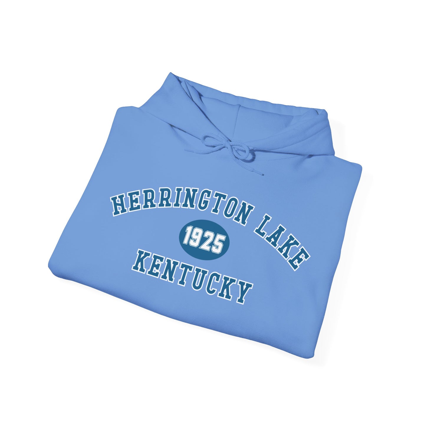 Herrington Lake Collegiate Collection Unisex Heavy Blend™ Hooded Sweatshirt w/ Printed Sleeve Accent