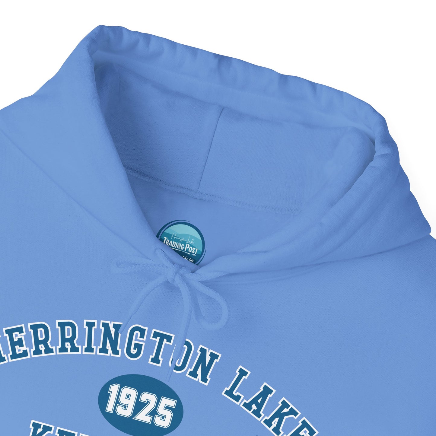 Herrington Lake Collegiate Collection Unisex Heavy Blend™ Hooded Sweatshirt w/ Printed Sleeve Accent