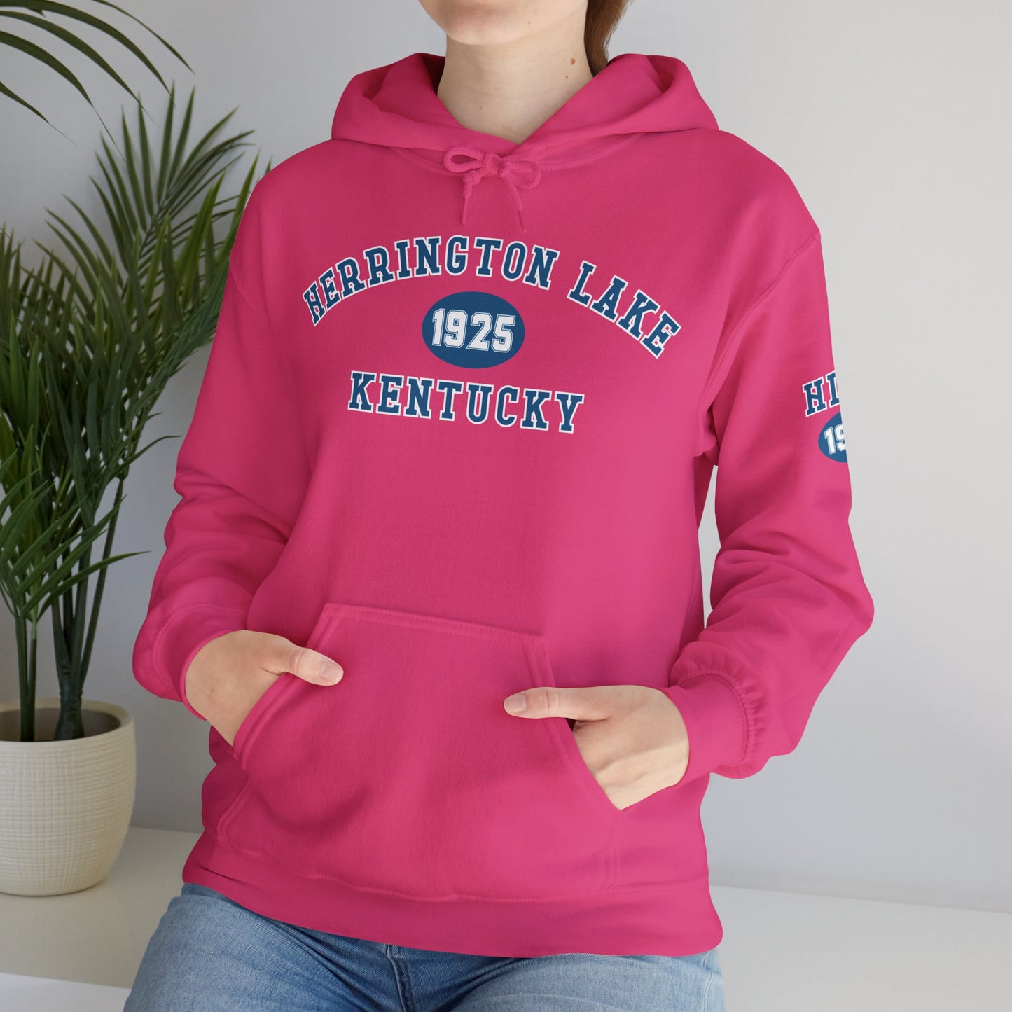 Herrington Lake Collegiate Collection Unisex Heavy Blend™ Hooded Sweatshirt w/ Printed Sleeve Accent