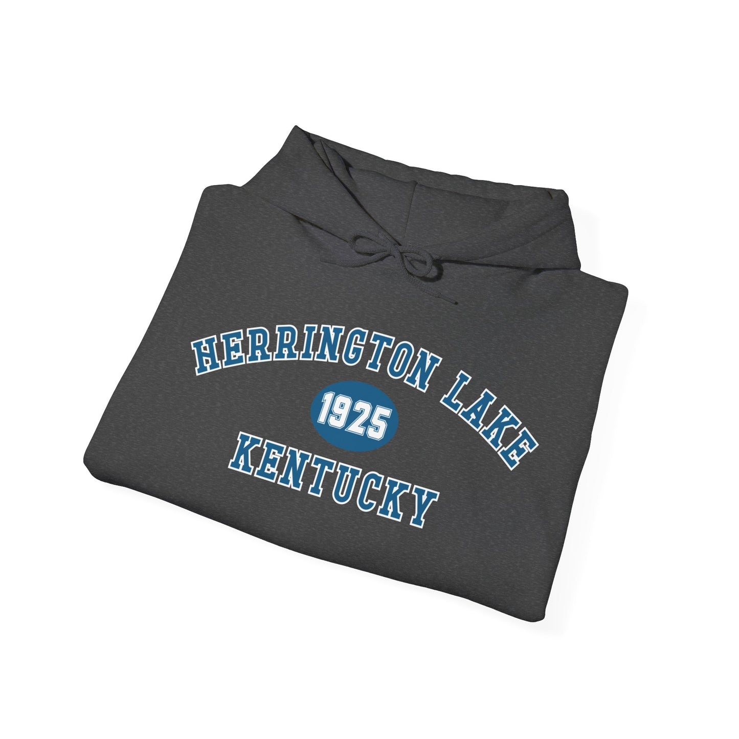 Herrington Lake Collegiate Collection Unisex Heavy Blend™ Hooded Sweatshirt w/ Printed Sleeve Accent