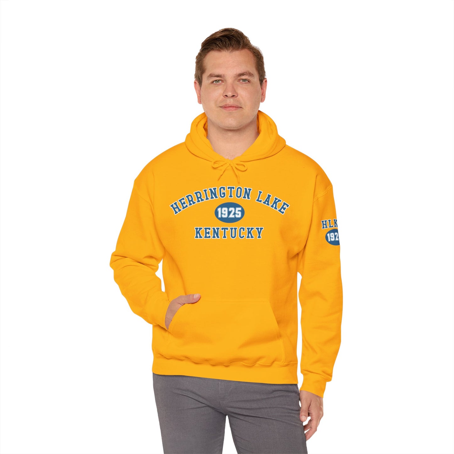 Herrington Lake Collegiate Collection Unisex Heavy Blend™ Hooded Sweatshirt w/ Printed Sleeve Accent