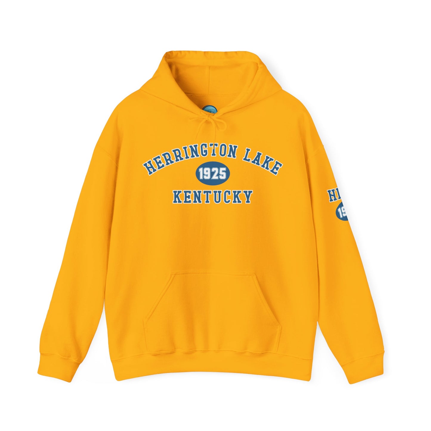 Herrington Lake Collegiate Collection Unisex Heavy Blend™ Hooded Sweatshirt w/ Printed Sleeve Accent