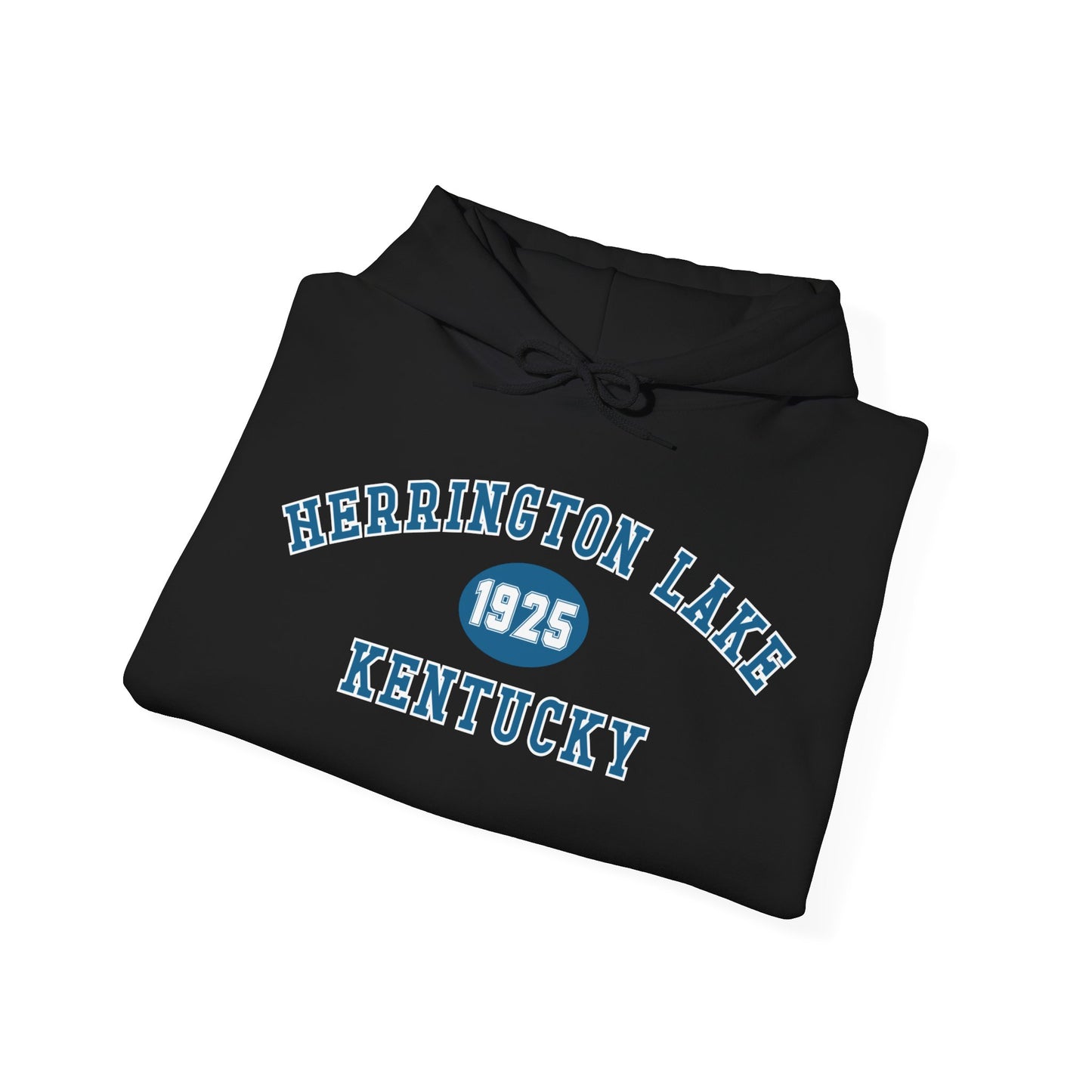 Herrington Lake Collegiate Collection Unisex Heavy Blend™ Hooded Sweatshirt w/ Printed Sleeve Accent