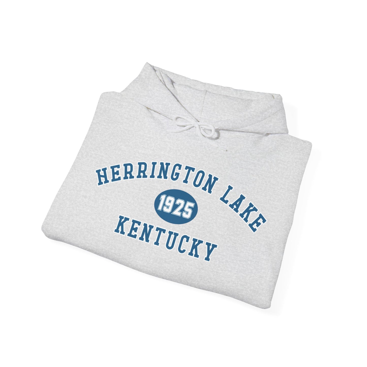 Herrington Lake Collegiate Collection Unisex Heavy Blend™ Hooded Sweatshirt w/ Printed Sleeve Accent