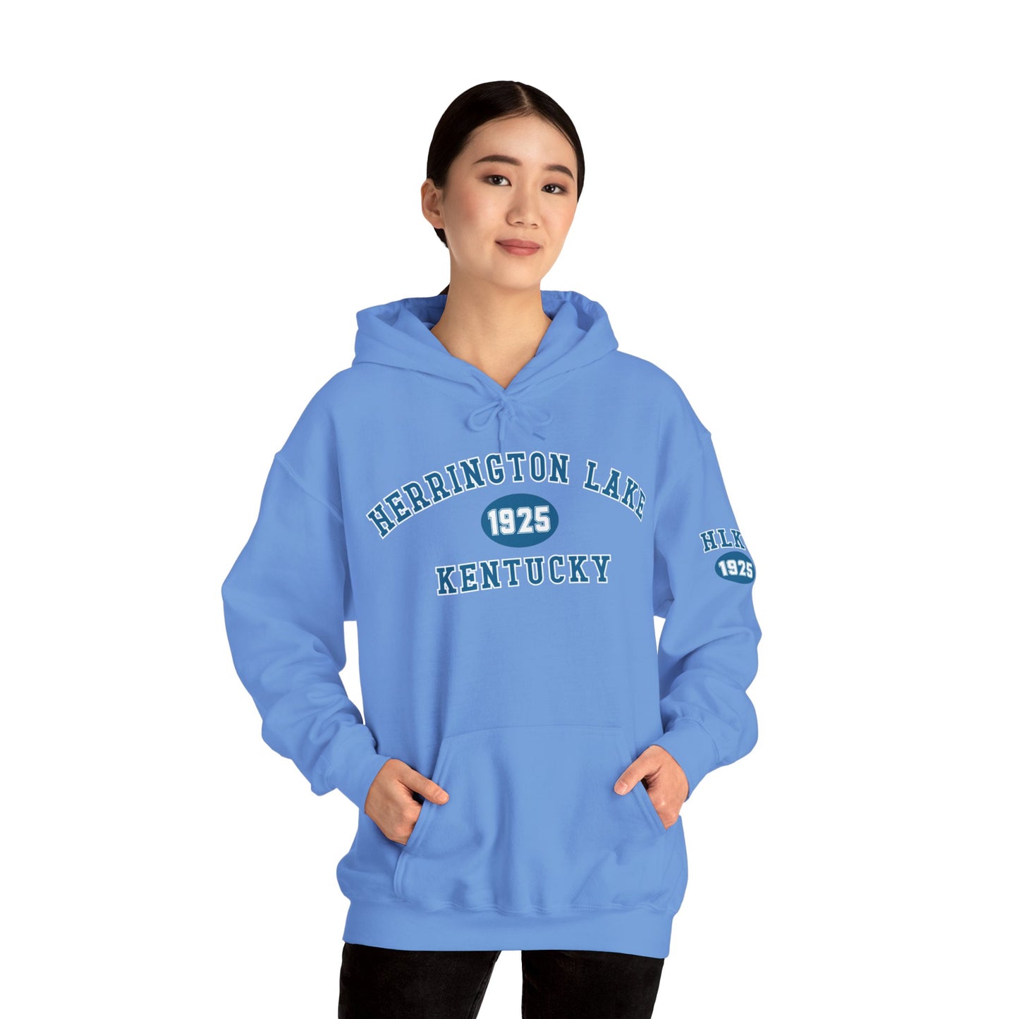 Herrington Lake Collegiate Collection Unisex Heavy Blend™ Hooded Sweatshirt w/ Printed Sleeve Accent