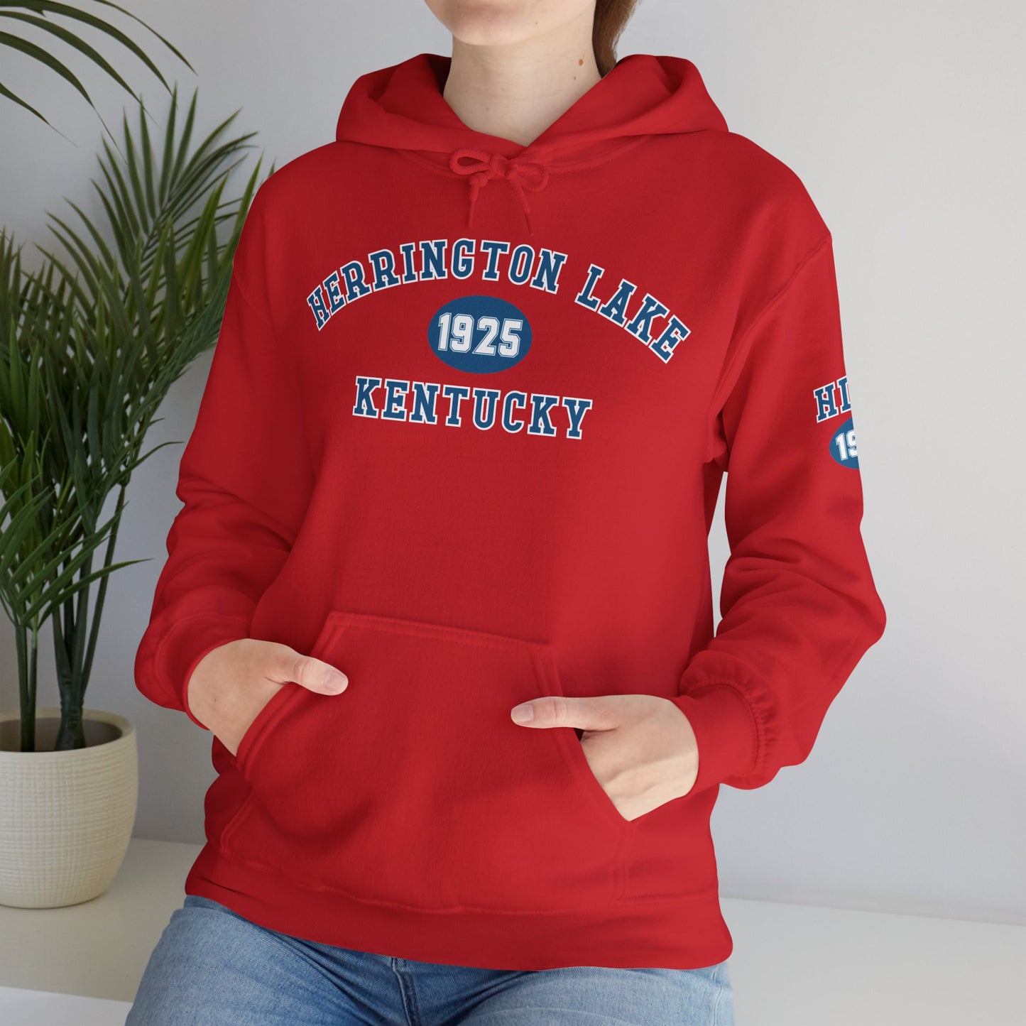 Herrington Lake Collegiate Collection Unisex Heavy Blend™ Hooded Sweatshirt w/ Printed Sleeve Accent