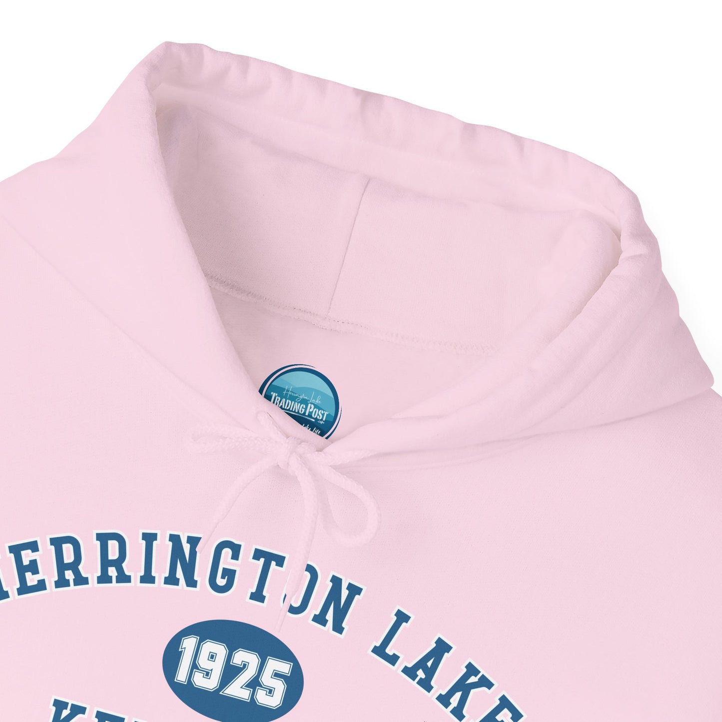 Herrington Lake Collegiate Collection Unisex Heavy Blend™ Hooded Sweatshirt w/ Printed Sleeve Accent