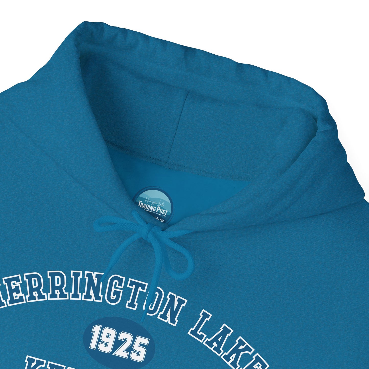 Herrington Lake Collegiate Collection Unisex Heavy Blend™ Hooded Sweatshirt w/ Printed Sleeve Accent