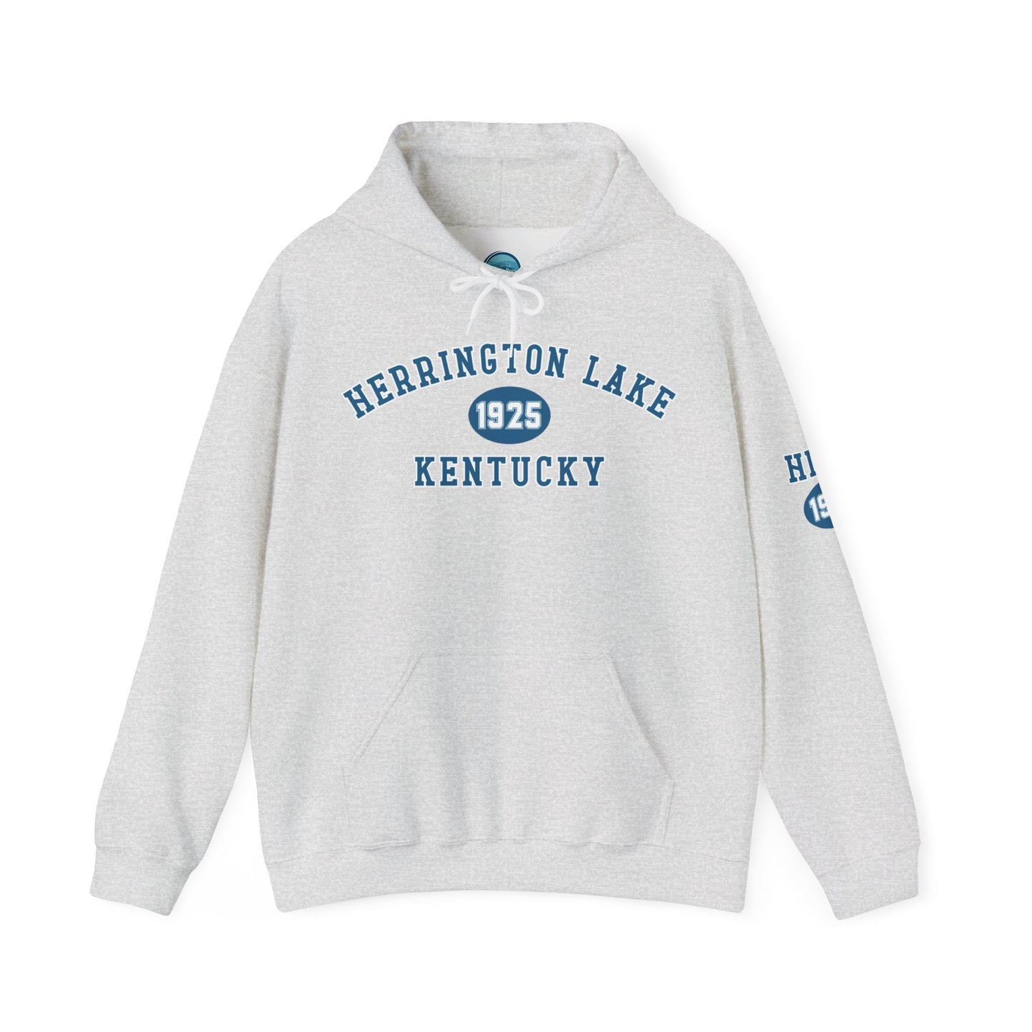 Herrington Lake Collegiate Collection Unisex Heavy Blend™ Hooded Sweatshirt w/ Printed Sleeve Accent