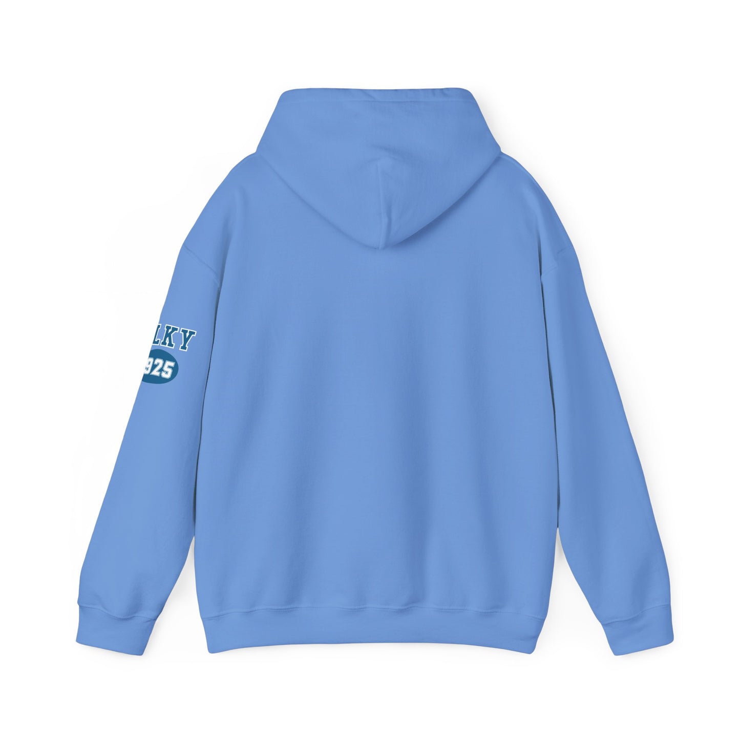 Herrington Lake Collegiate Collection Unisex Heavy Blend™ Hooded Sweatshirt w/ Printed Sleeve Accent