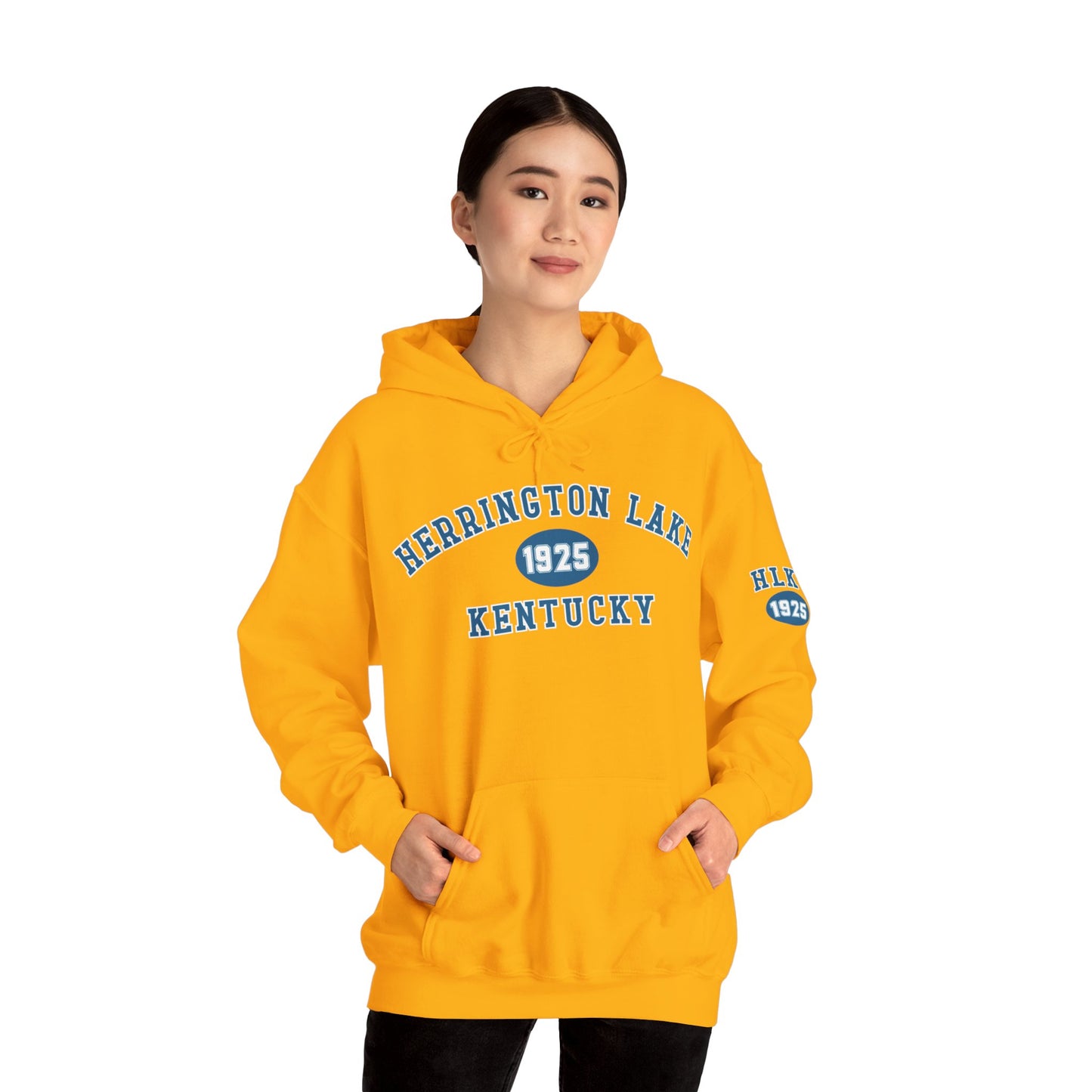 Herrington Lake Collegiate Collection Unisex Heavy Blend™ Hooded Sweatshirt w/ Printed Sleeve Accent