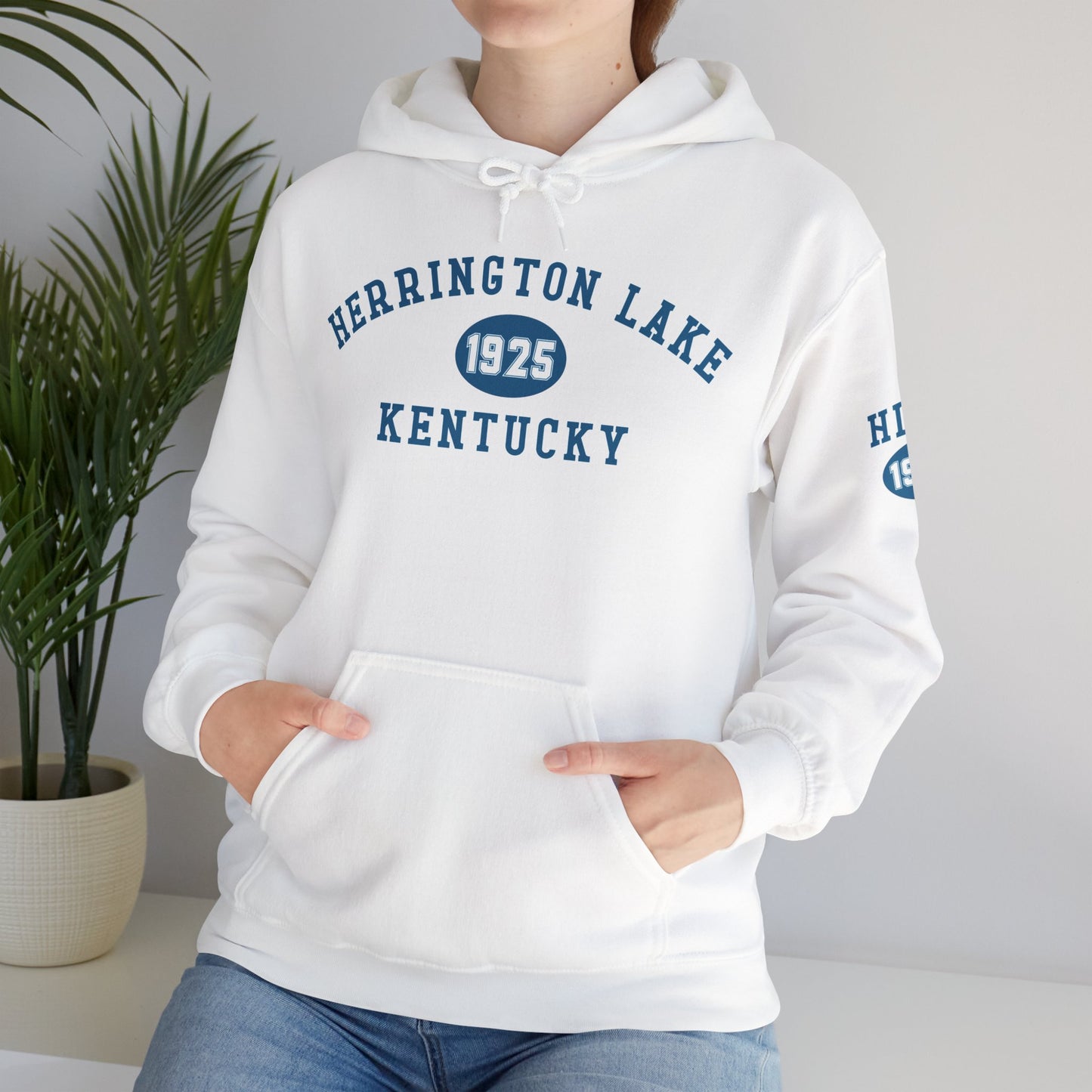 Herrington Lake Collegiate Collection Unisex Heavy Blend™ Hooded Sweatshirt w/ Printed Sleeve Accent