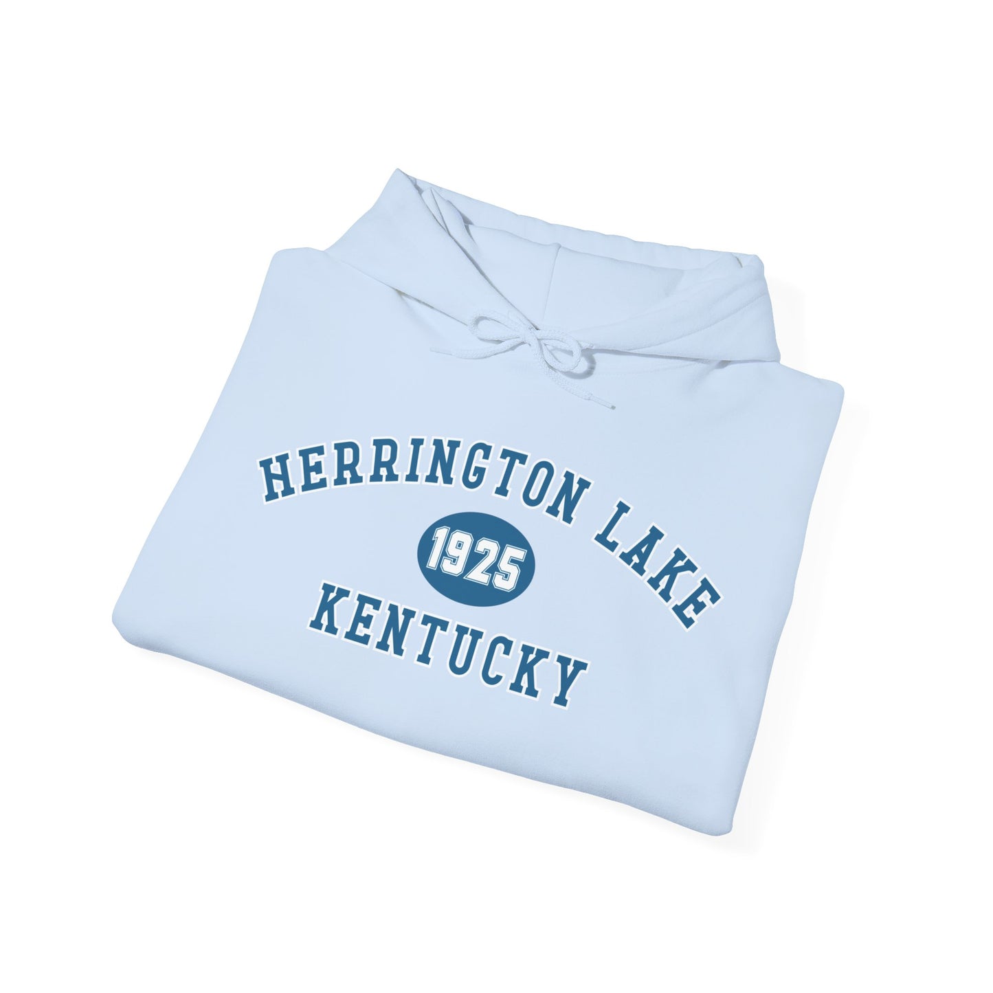 Herrington Lake Collegiate Collection Unisex Heavy Blend™ Hooded Sweatshirt w/ Printed Sleeve Accent