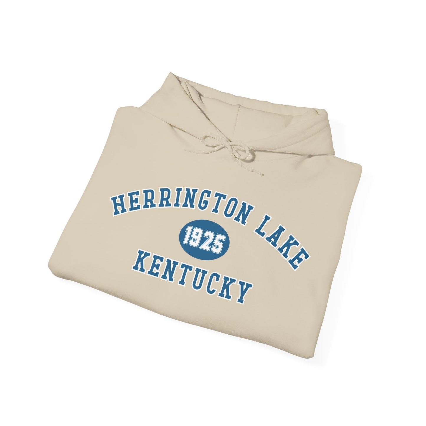 Herrington Lake Collegiate Collection Unisex Heavy Blend™ Hooded Sweatshirt w/ Printed Sleeve Accent