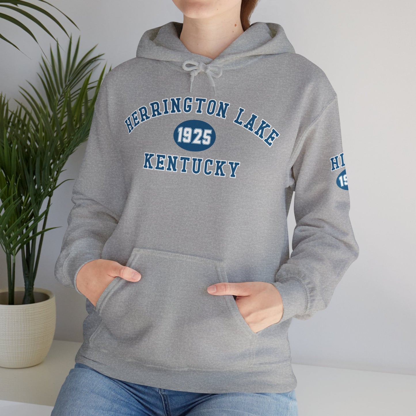 Herrington Lake Collegiate Collection Unisex Heavy Blend™ Hooded Sweatshirt w/ Printed Sleeve Accent