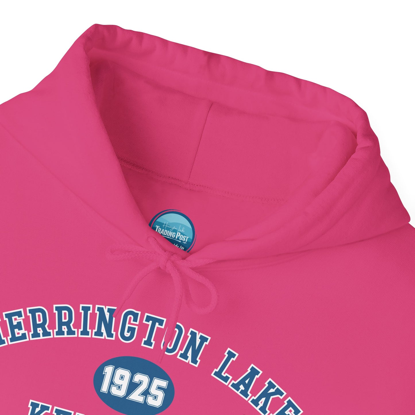 Herrington Lake Collegiate Collection Unisex Heavy Blend™ Hooded Sweatshirt w/ Printed Sleeve Accent