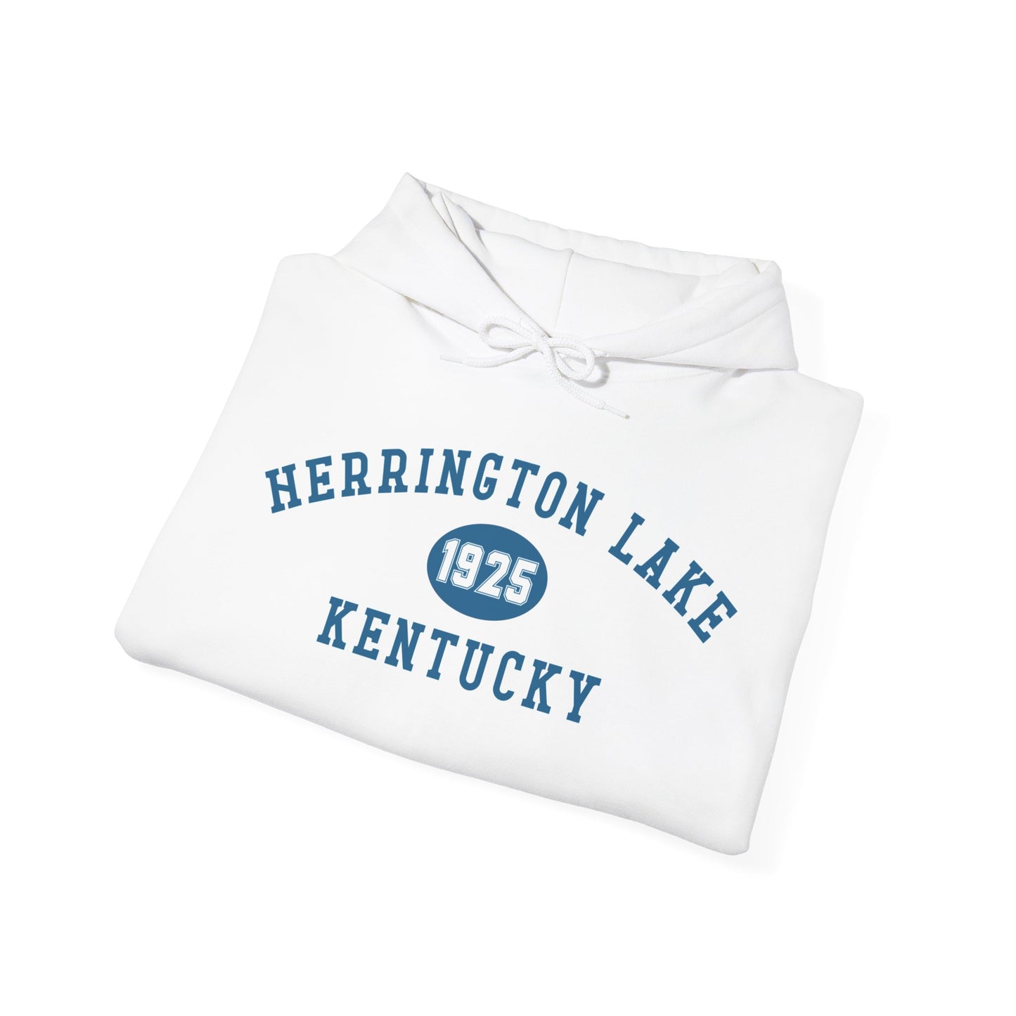 Herrington Lake Collegiate Collection Unisex Heavy Blend™ Hooded Sweatshirt w/ Printed Sleeve Accent