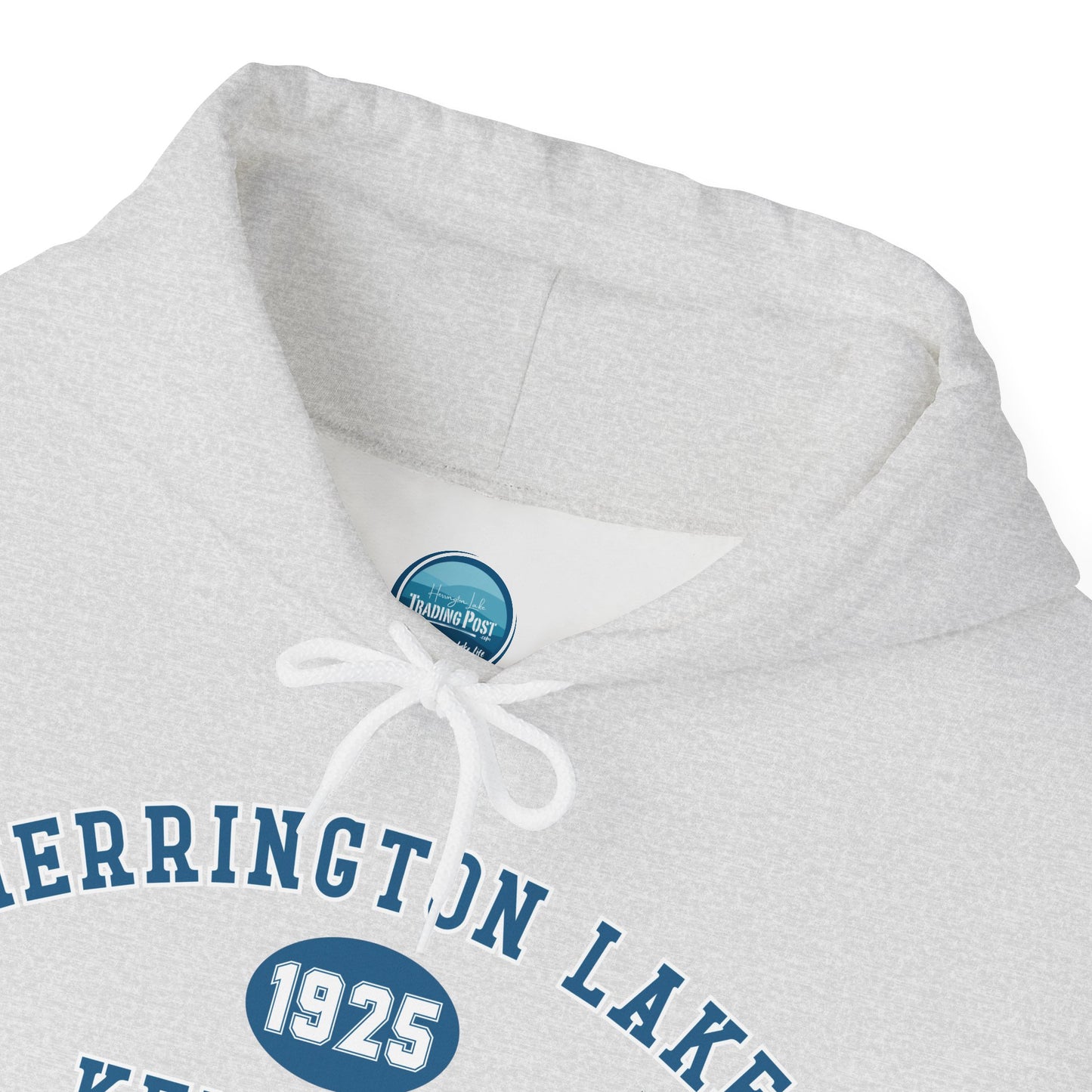 Herrington Lake Collegiate Collection Unisex Heavy Blend™ Hooded Sweatshirt w/ Printed Sleeve Accent