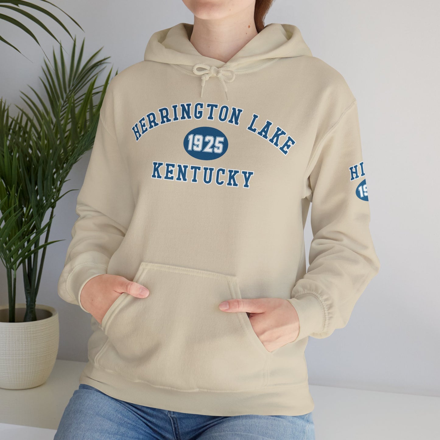 Herrington Lake Collegiate Collection Unisex Heavy Blend™ Hooded Sweatshirt w/ Printed Sleeve Accent