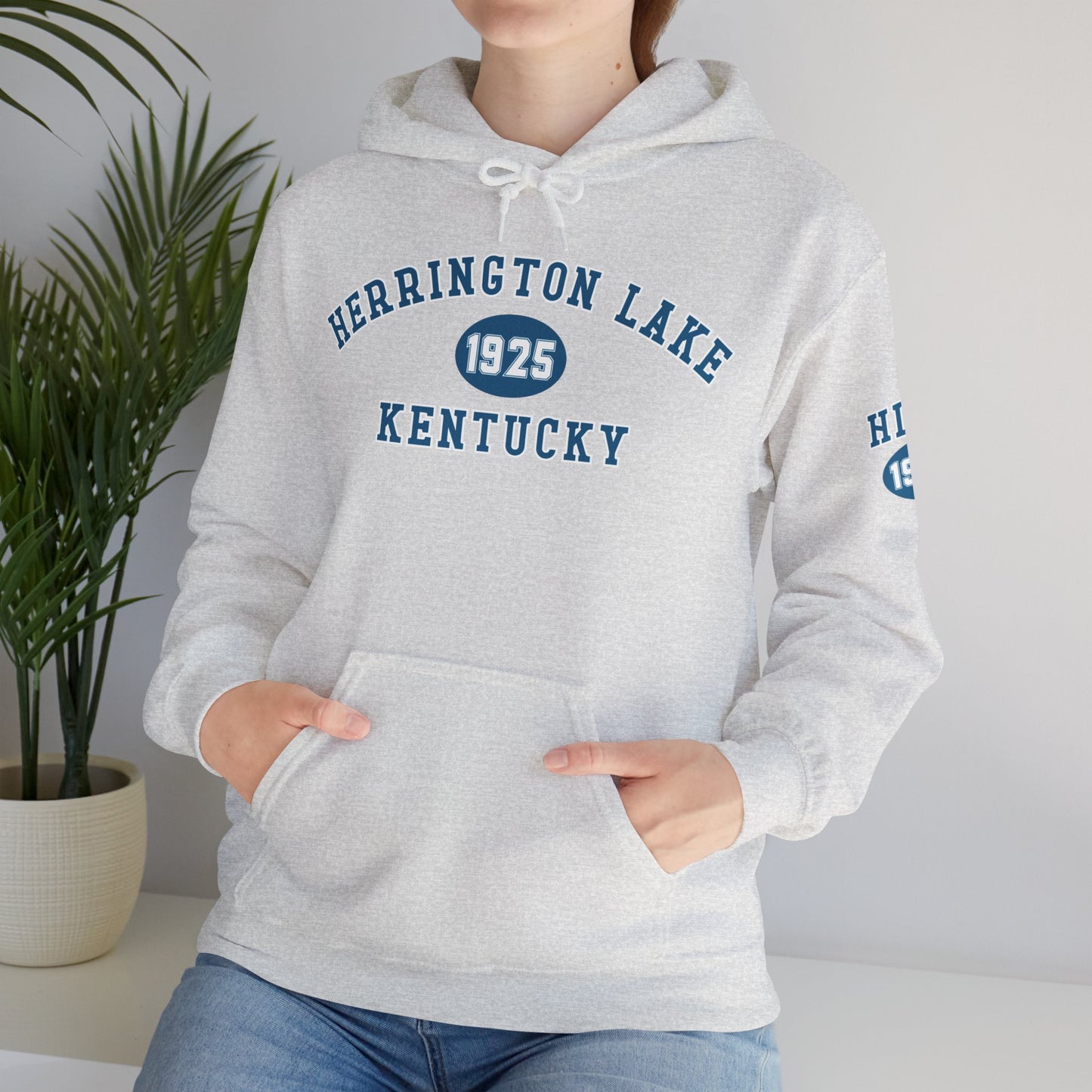 Herrington Lake Collegiate Collection Unisex Heavy Blend™ Hooded Sweatshirt w/ Printed Sleeve Accent