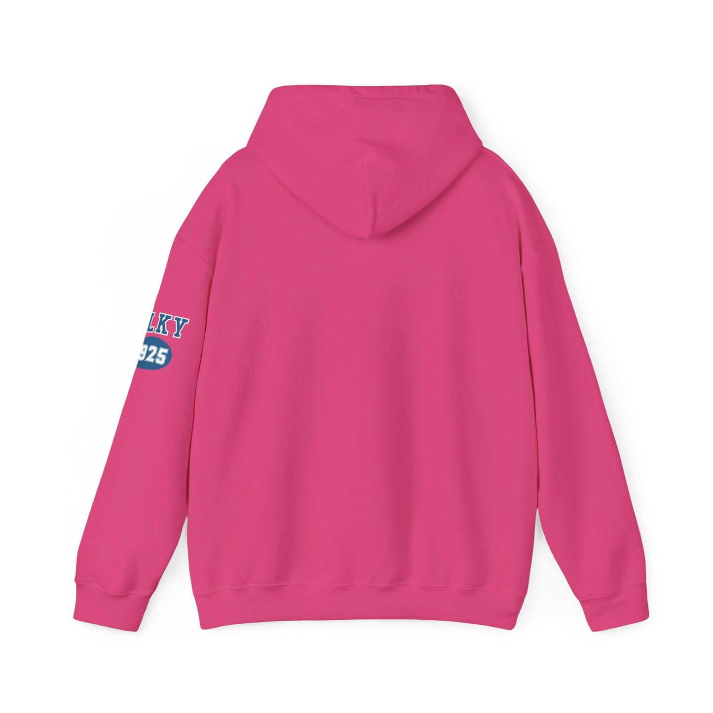 Herrington Lake Collegiate Collection Unisex Heavy Blend™ Hooded Sweatshirt w/ Printed Sleeve Accent